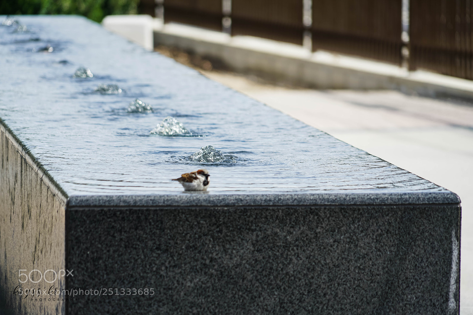 Sony a7R II sample photo. Sq photography