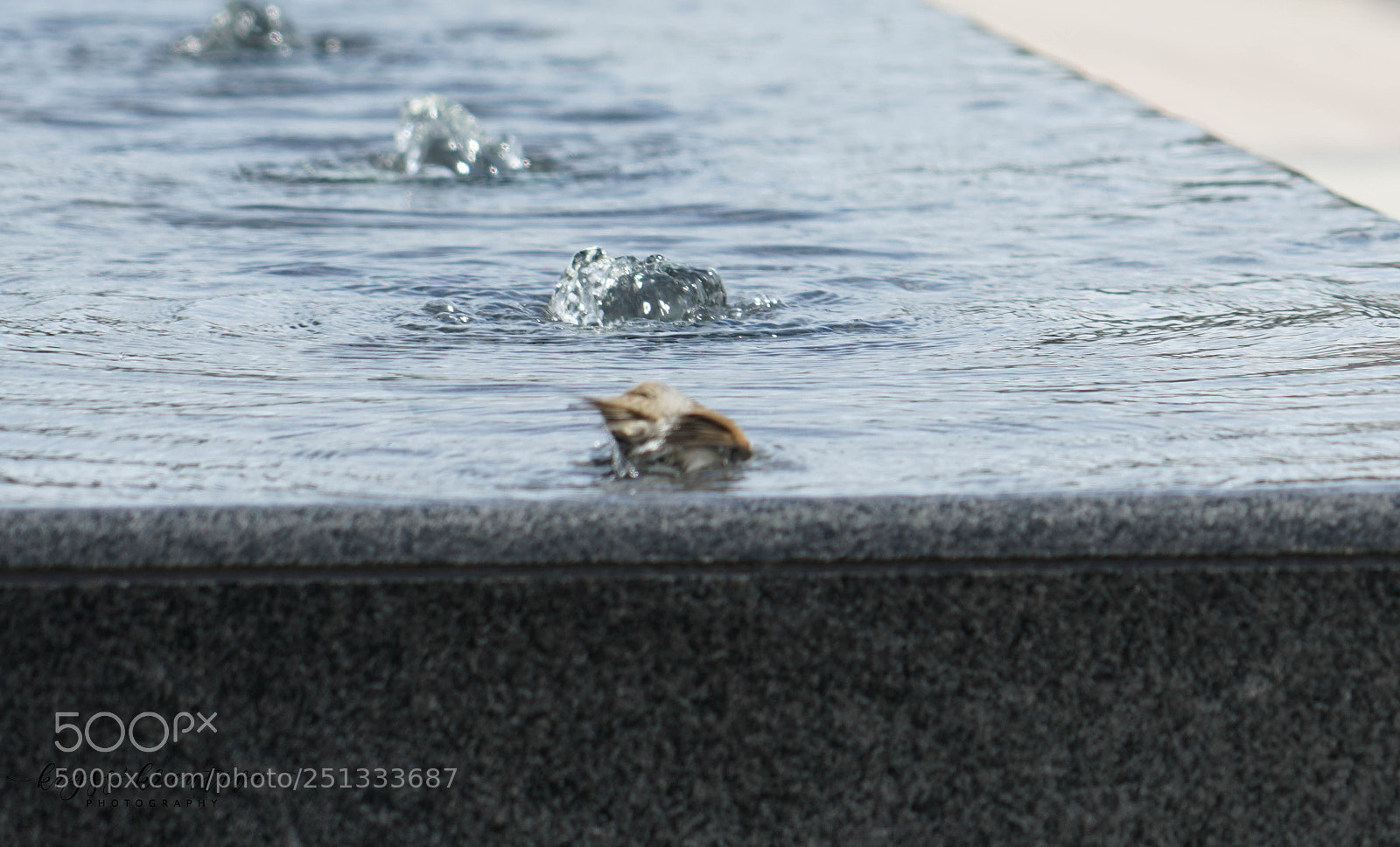 Sony a7R II sample photo. Sq photography