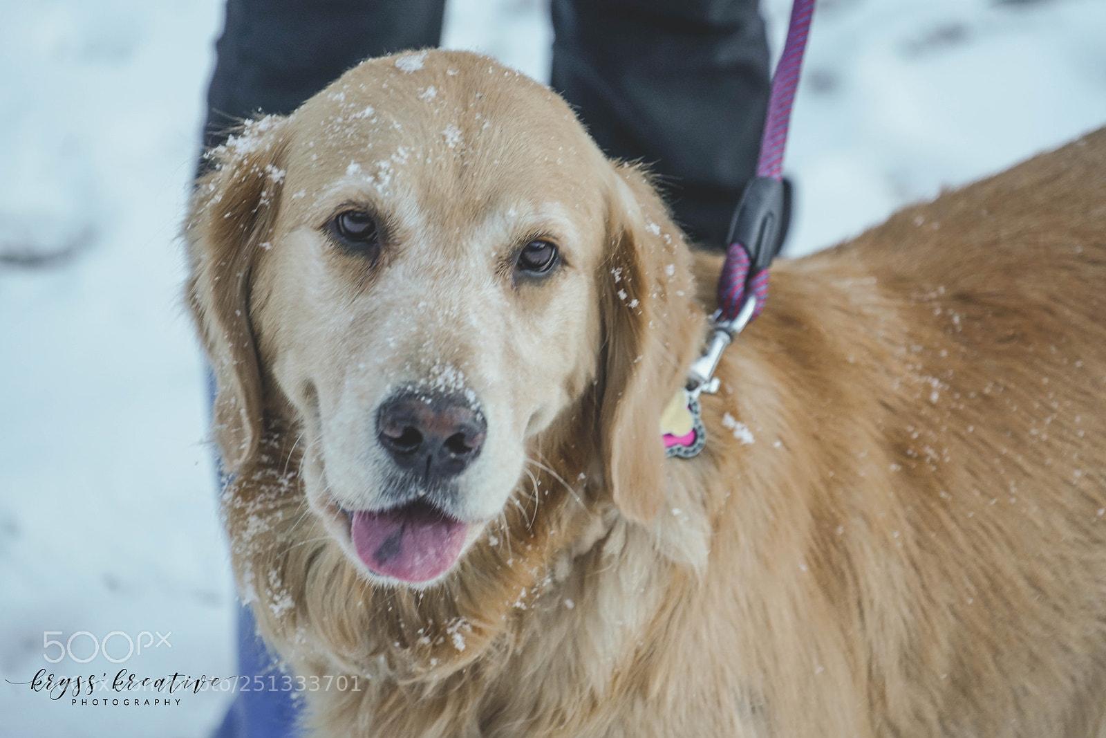 Sony a7R II sample photo. Sq photography