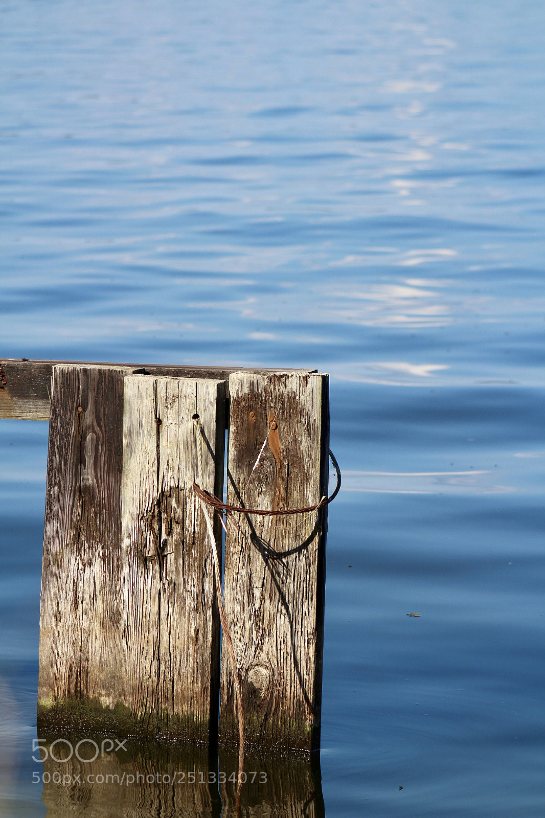 Canon EOS 100D (EOS Rebel SL1 / EOS Kiss X7) sample photo. Background photography