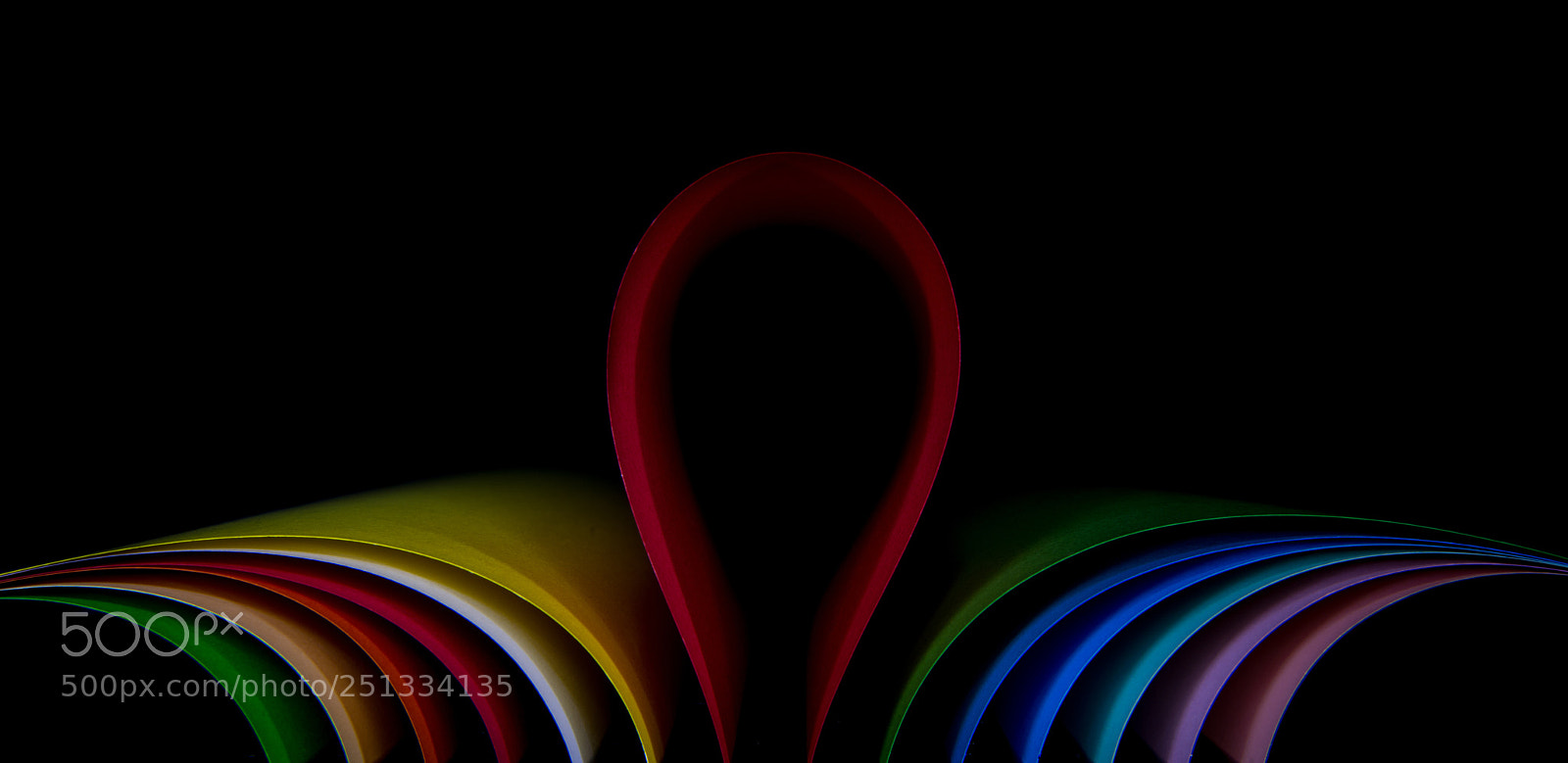 Nikon D800 sample photo. Color photography