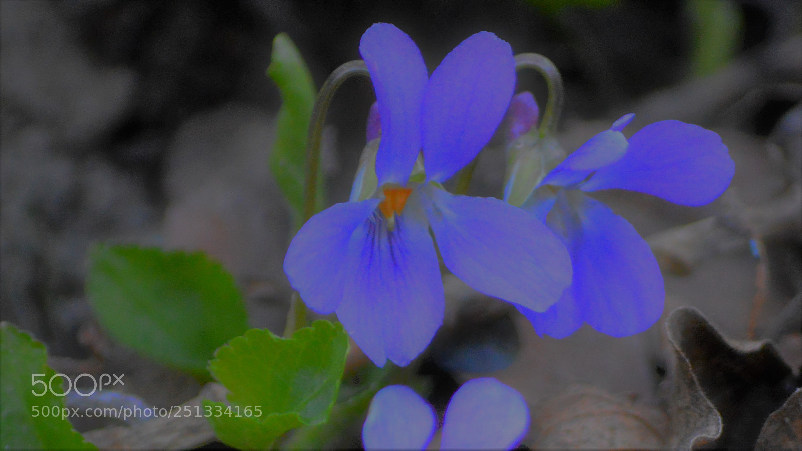 Nikon D3200 sample photo. Untitled photography
