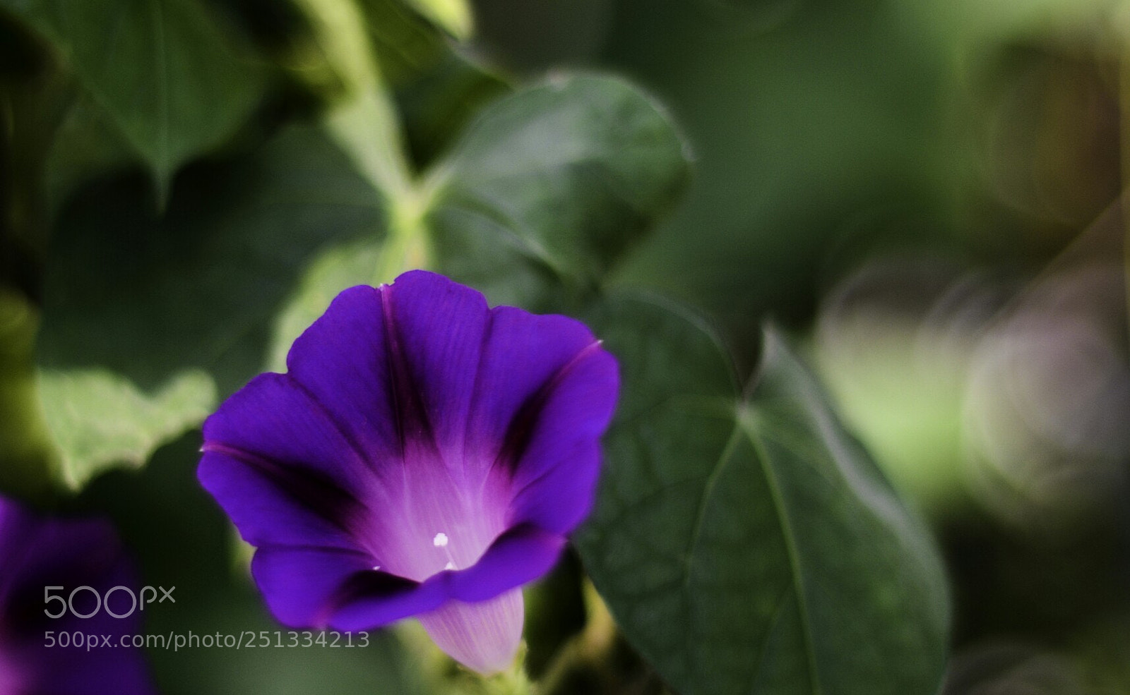 Nikon D7100 sample photo. Untitled photography