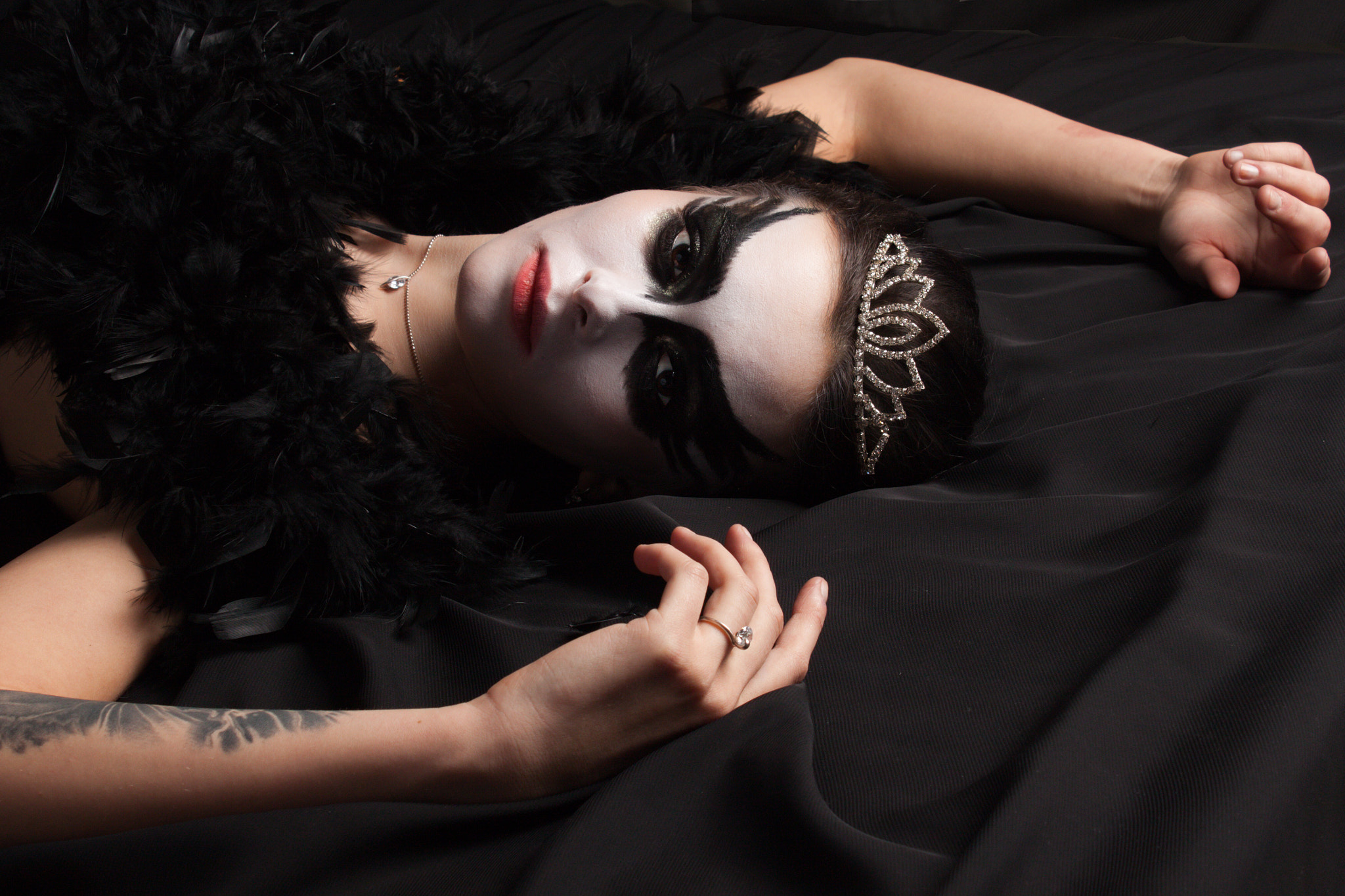Canon EOS 500D (EOS Rebel T1i / EOS Kiss X3) sample photo. Black swan  photography
