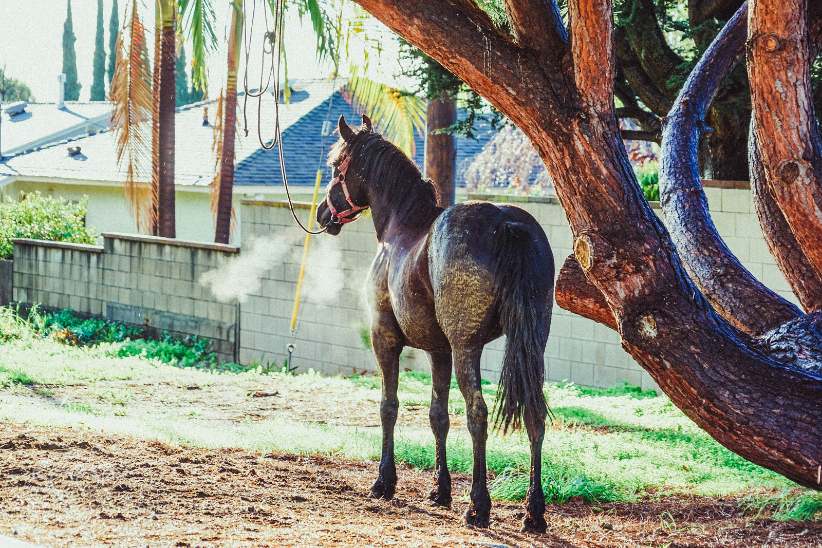 Sony a7R II sample photo. Duarte photography
