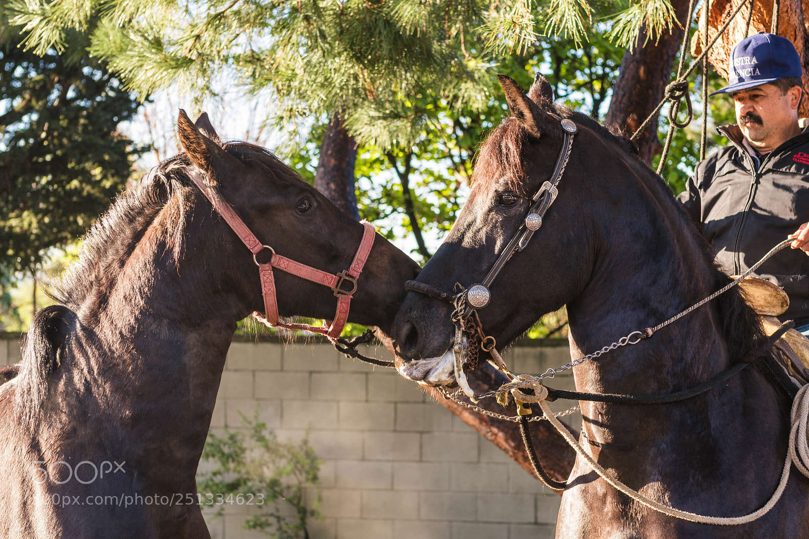 Sony a6500 sample photo. Duarte photography