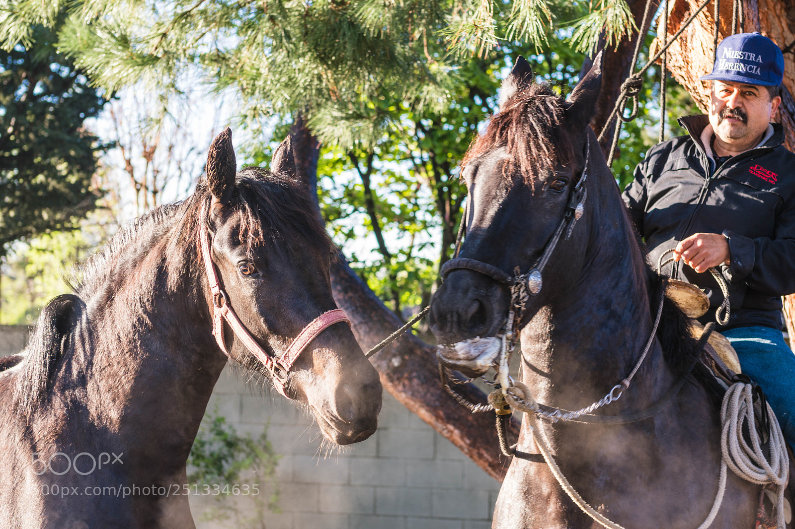 Sony a6500 sample photo. Duarte photography