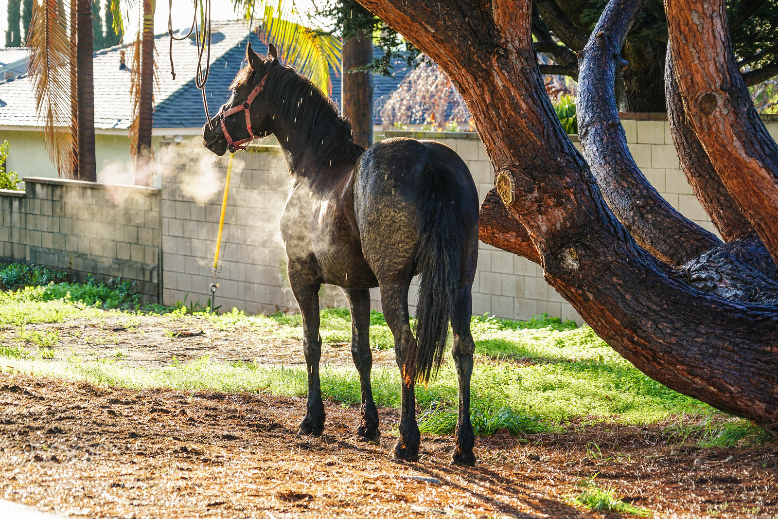 Sony a7R II sample photo. Duarte photography