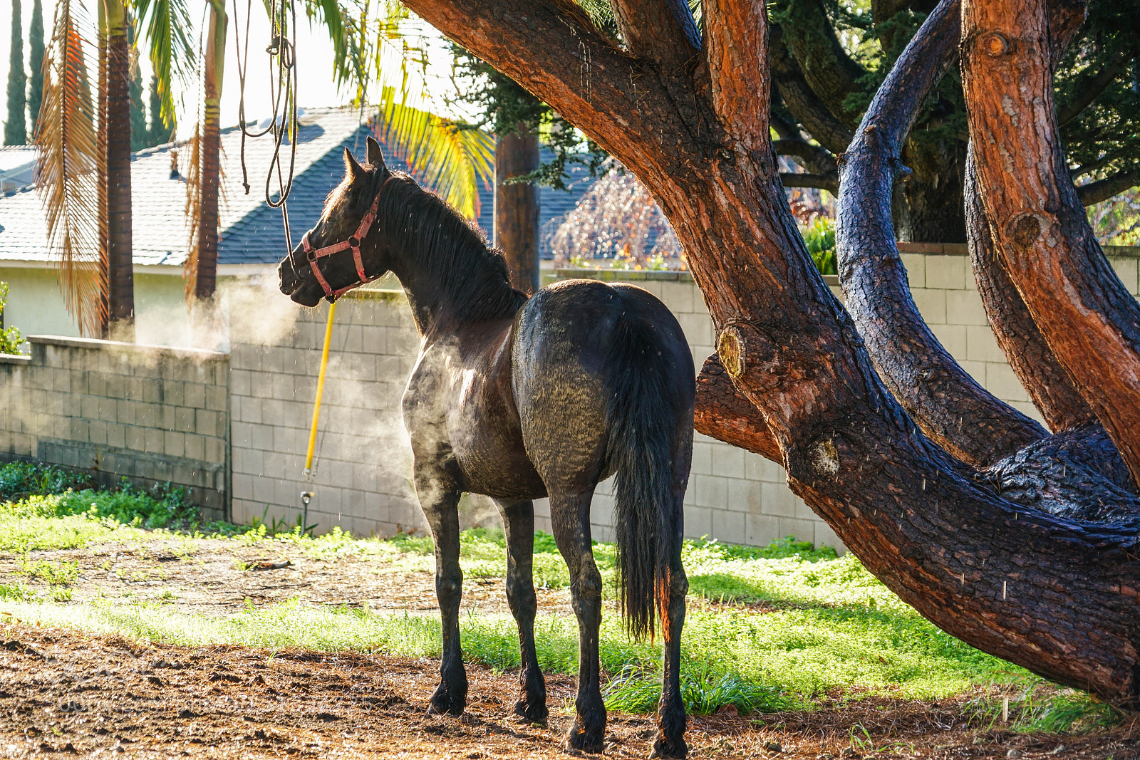 Sony a7R II sample photo. Duarte photography