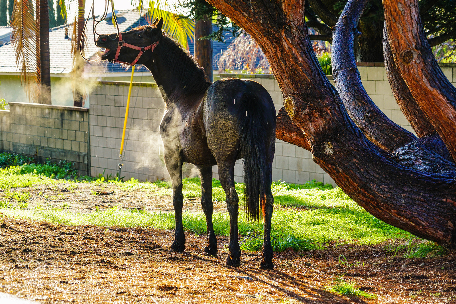 Sony a7R II sample photo. Duarte photography