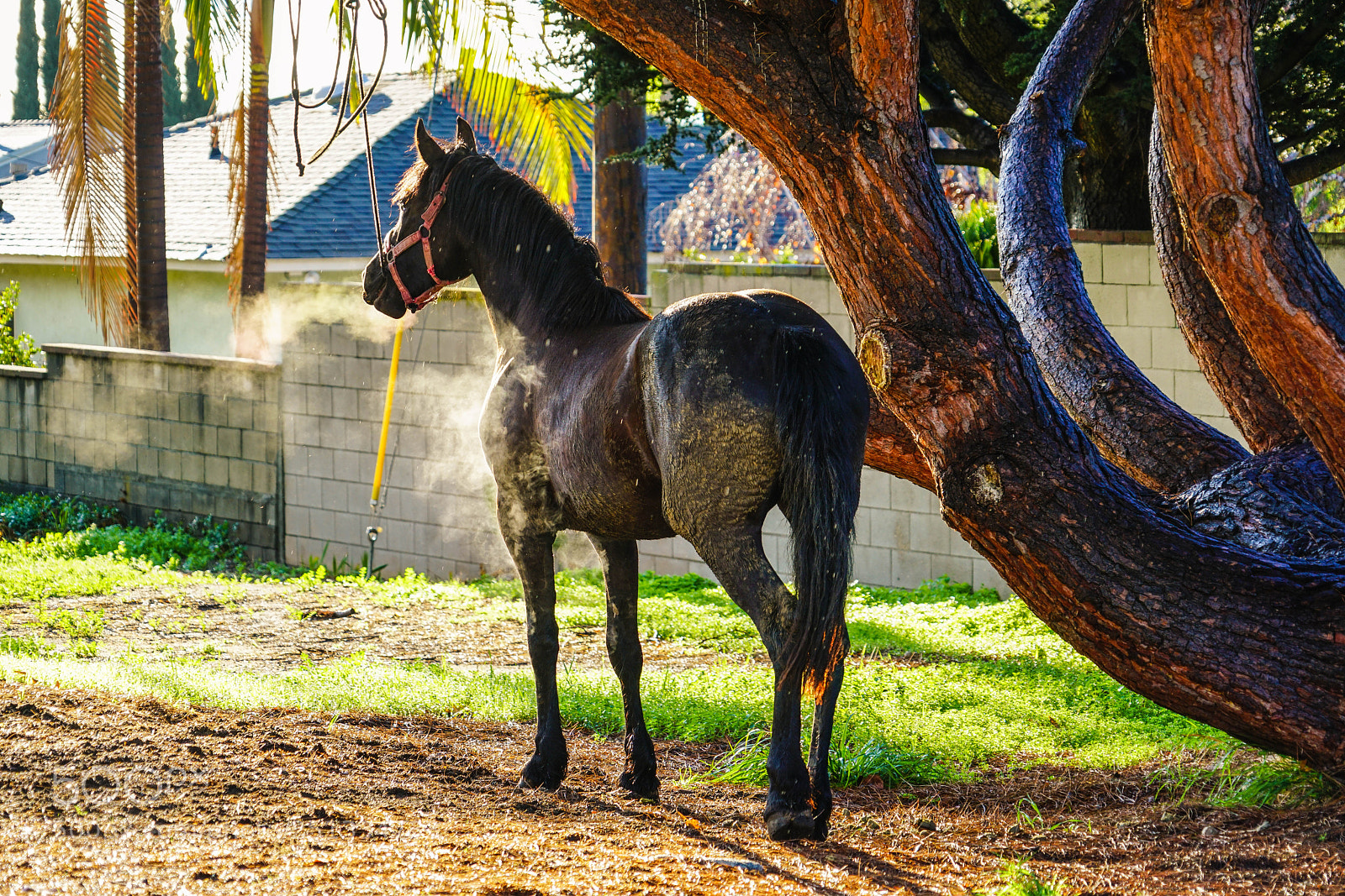 Sony a7R II sample photo. Duarte photography