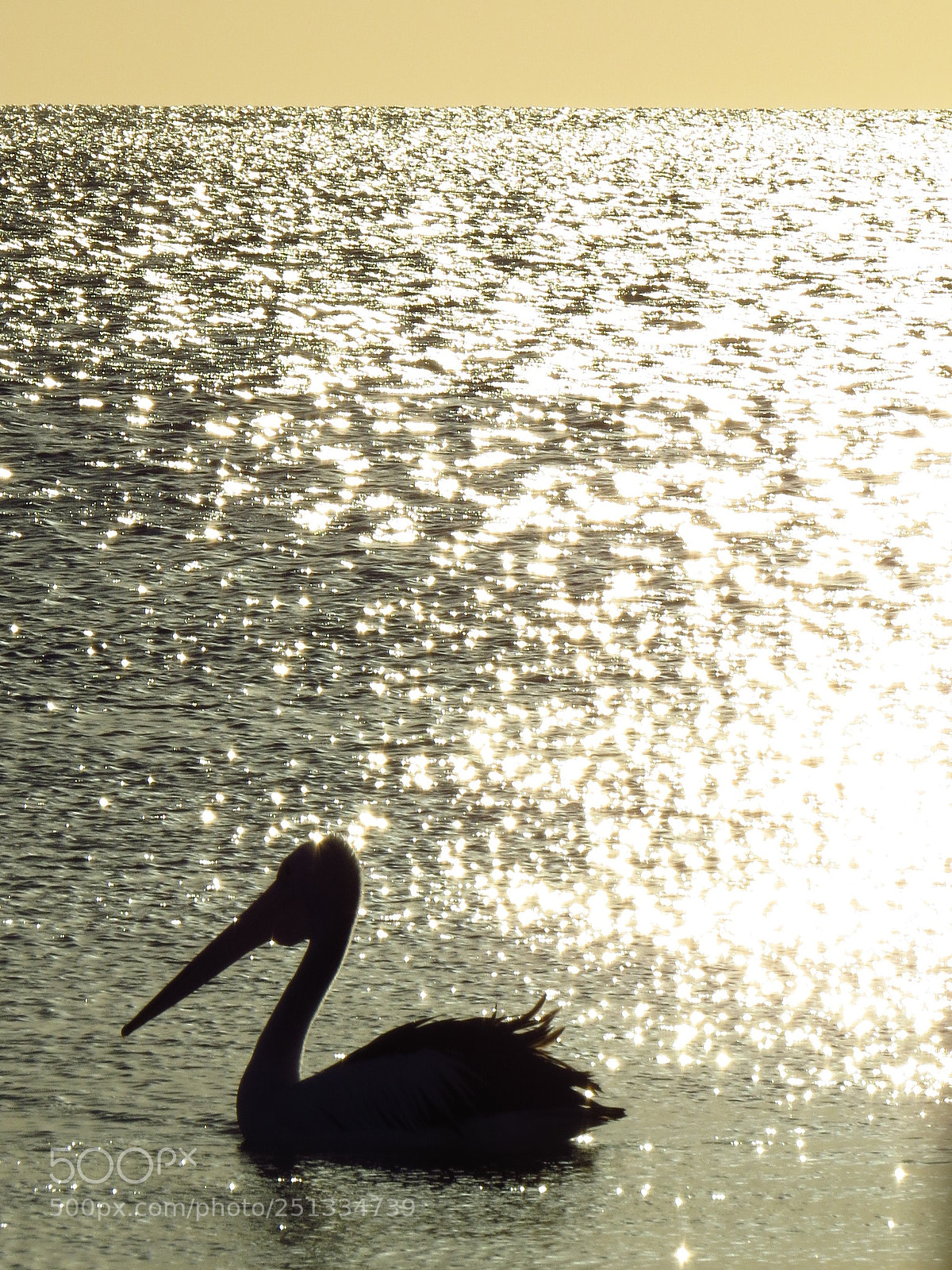 Canon PowerShot SX50 HS sample photo. Img photography