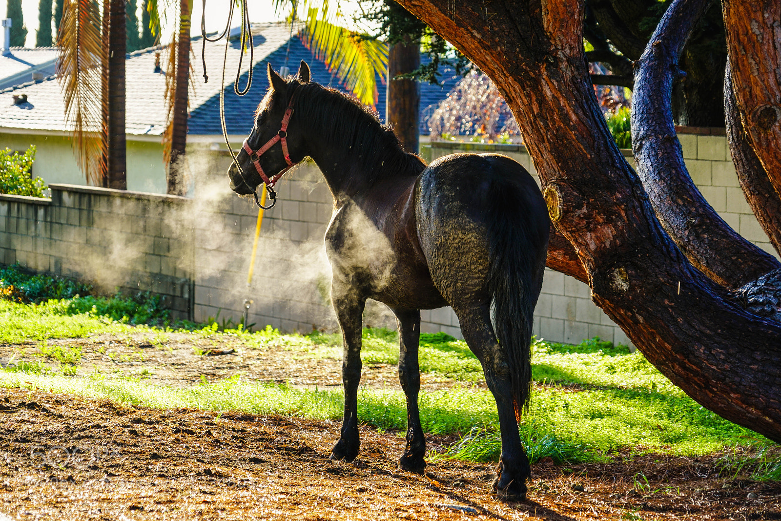 Sony a7R II sample photo. Duarte photography