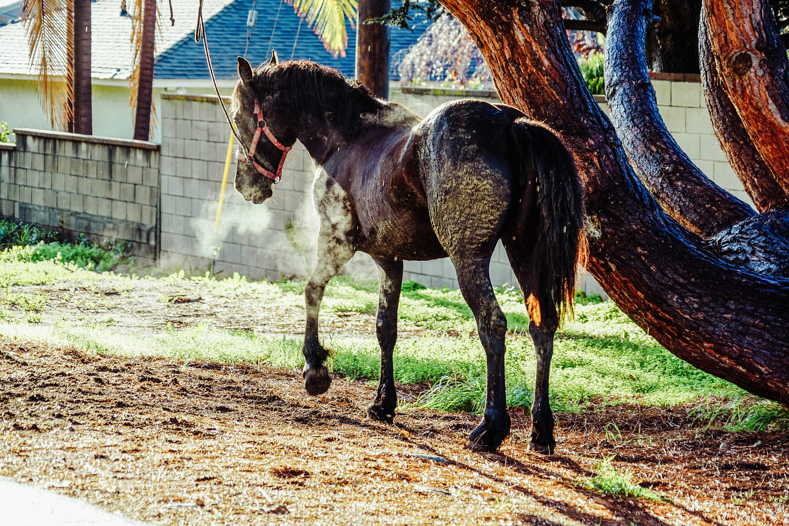 Sony a7R II sample photo. Duarte photography