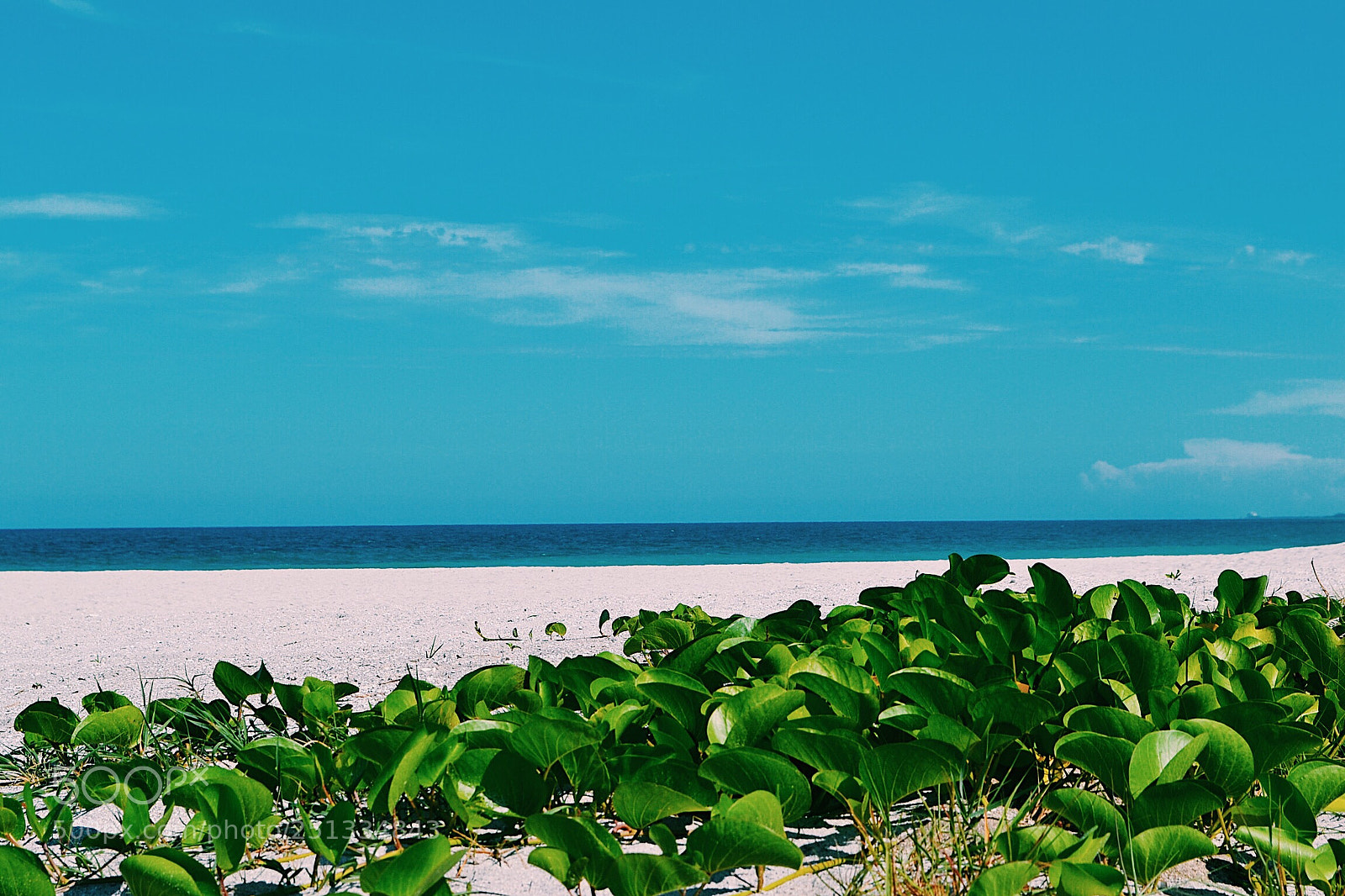 Nikon D3100 sample photo. Mar  photography