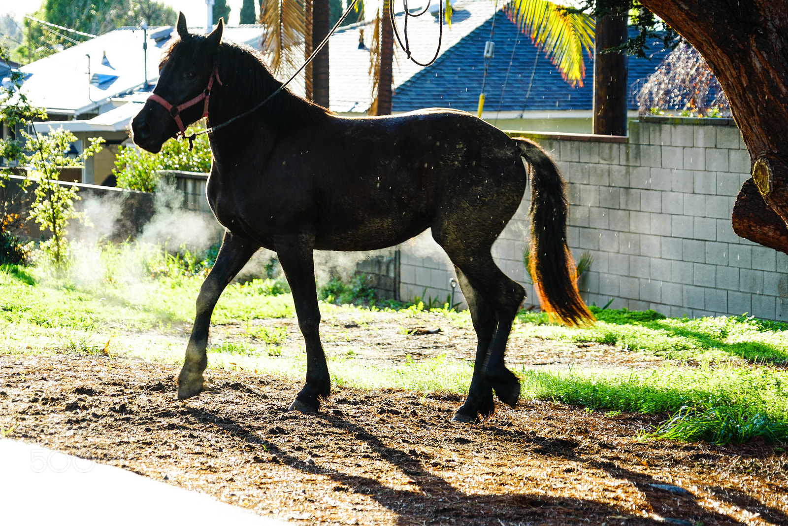 Sony a7R II sample photo. Duarte photography