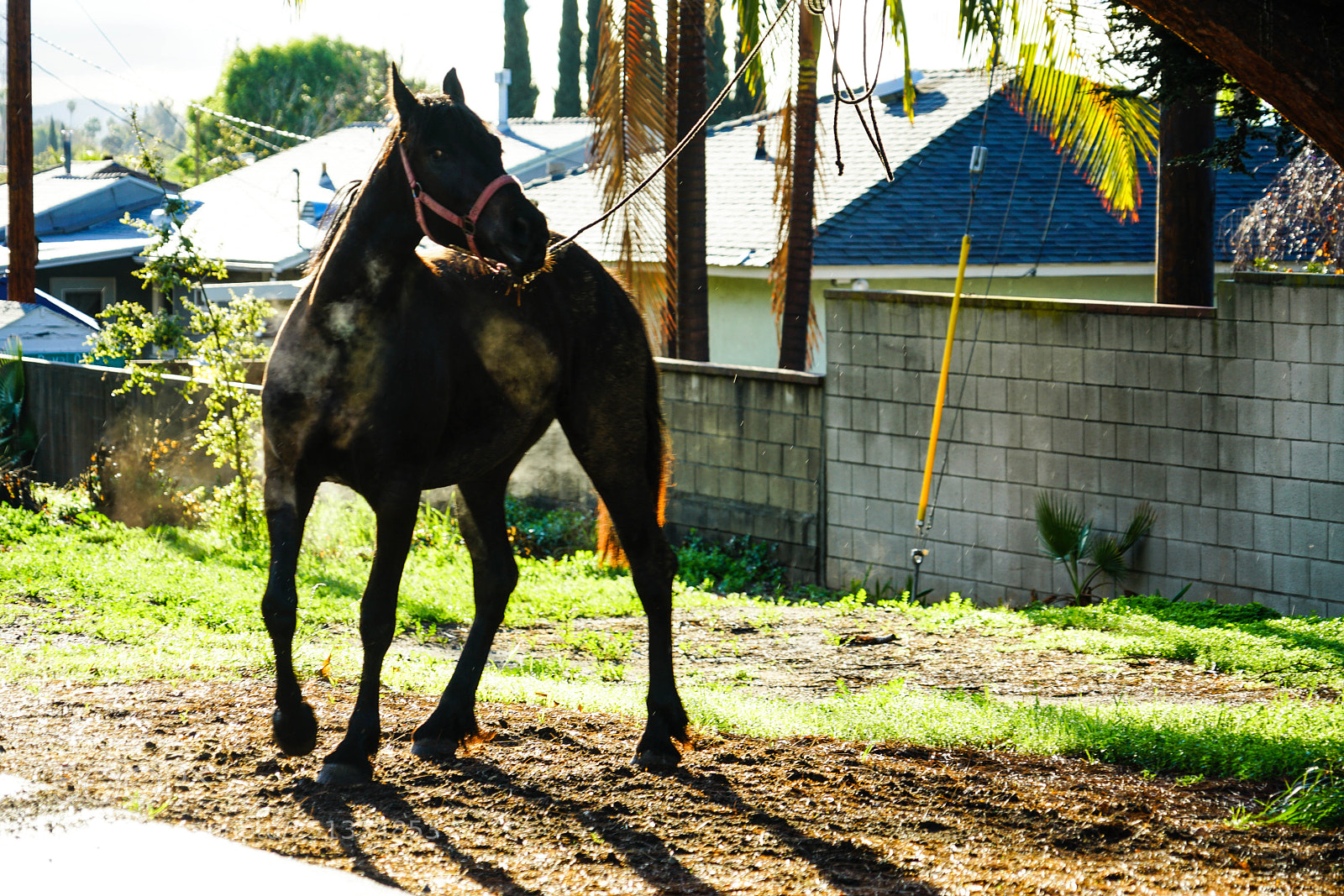 Sony a7R II sample photo. Duarte photography