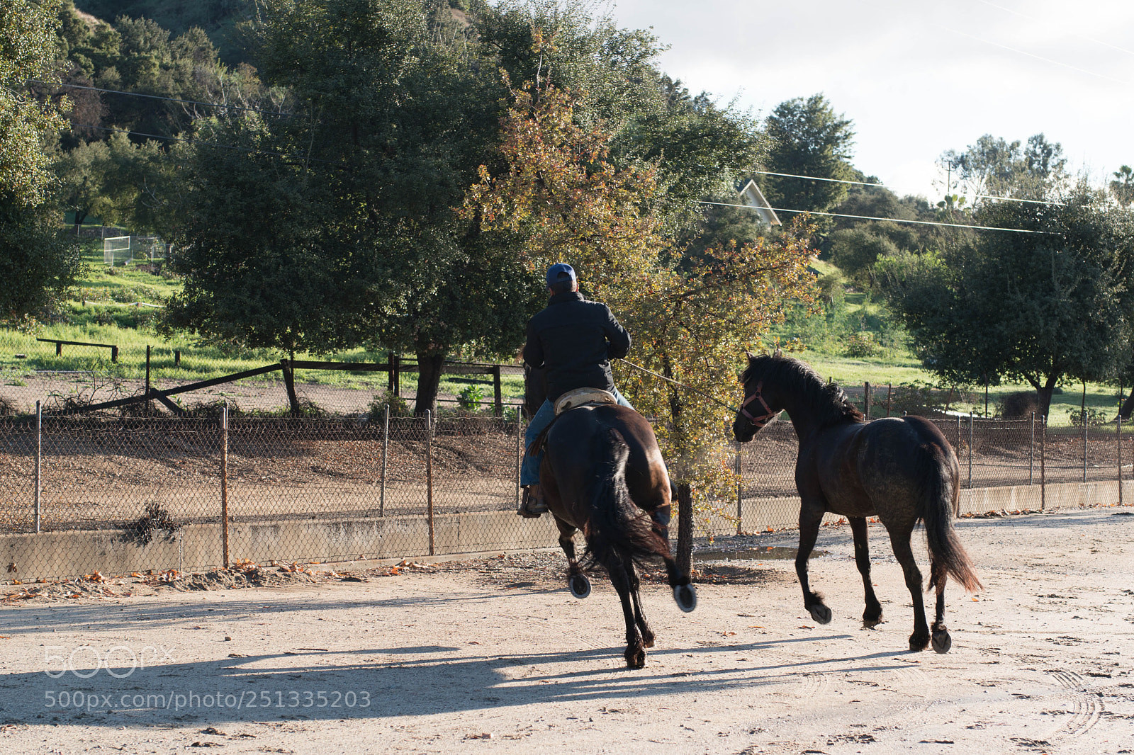 Sony a6500 sample photo. Duarte photography