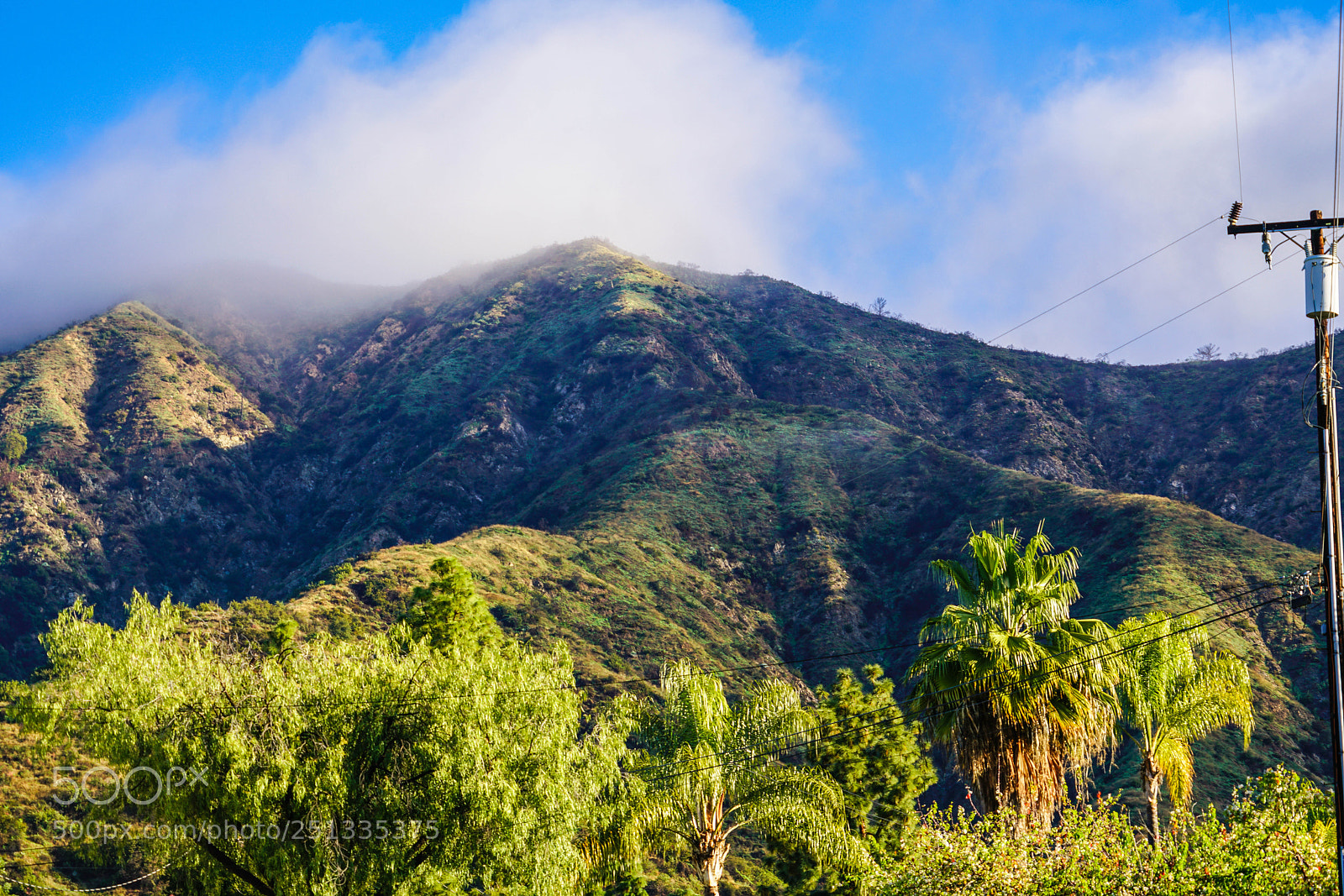 Sony a7R II sample photo. Duarte photography