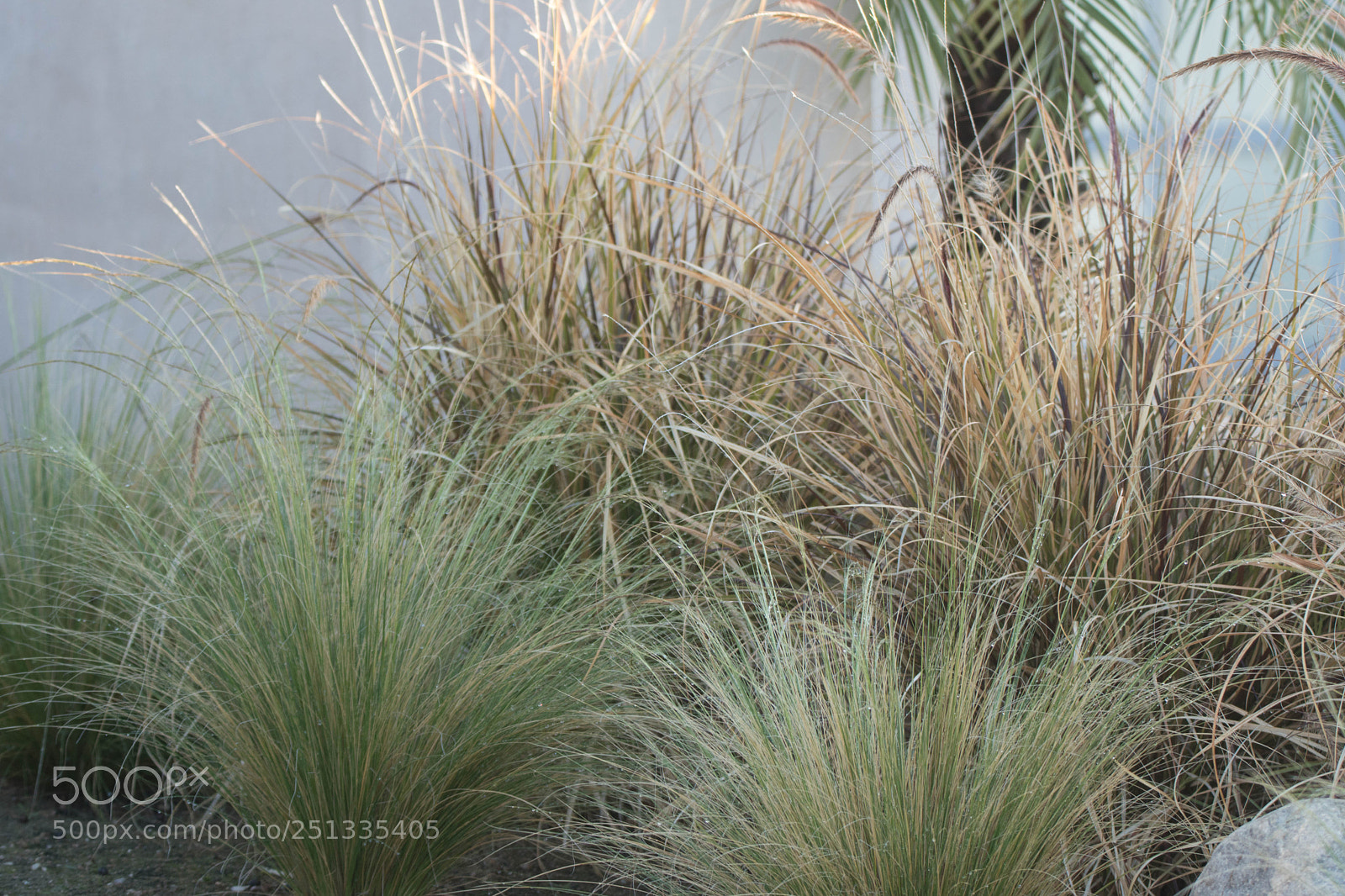Sony a6500 sample photo. Duarte photography