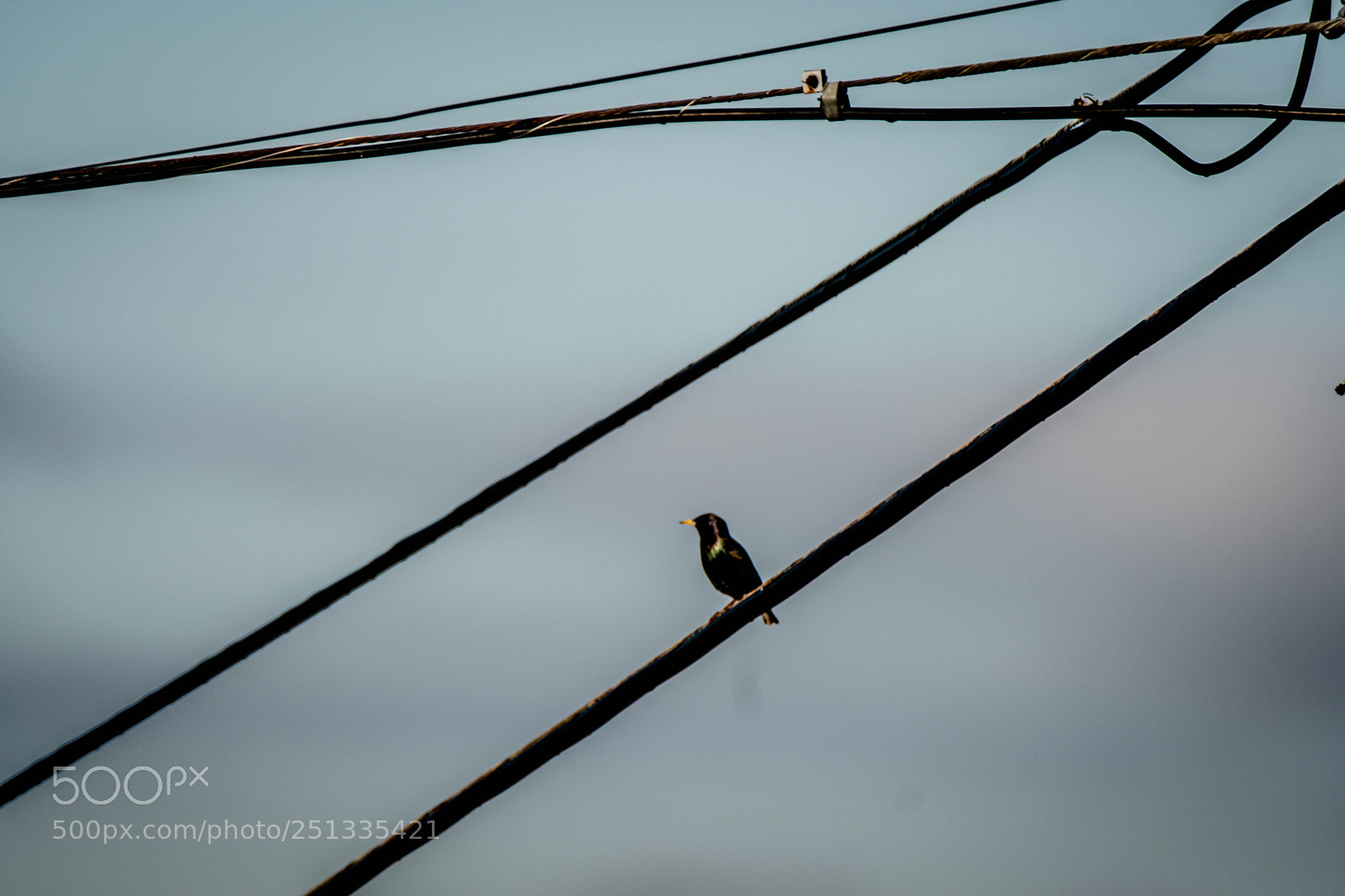 Sony a6500 sample photo. Duarte photography