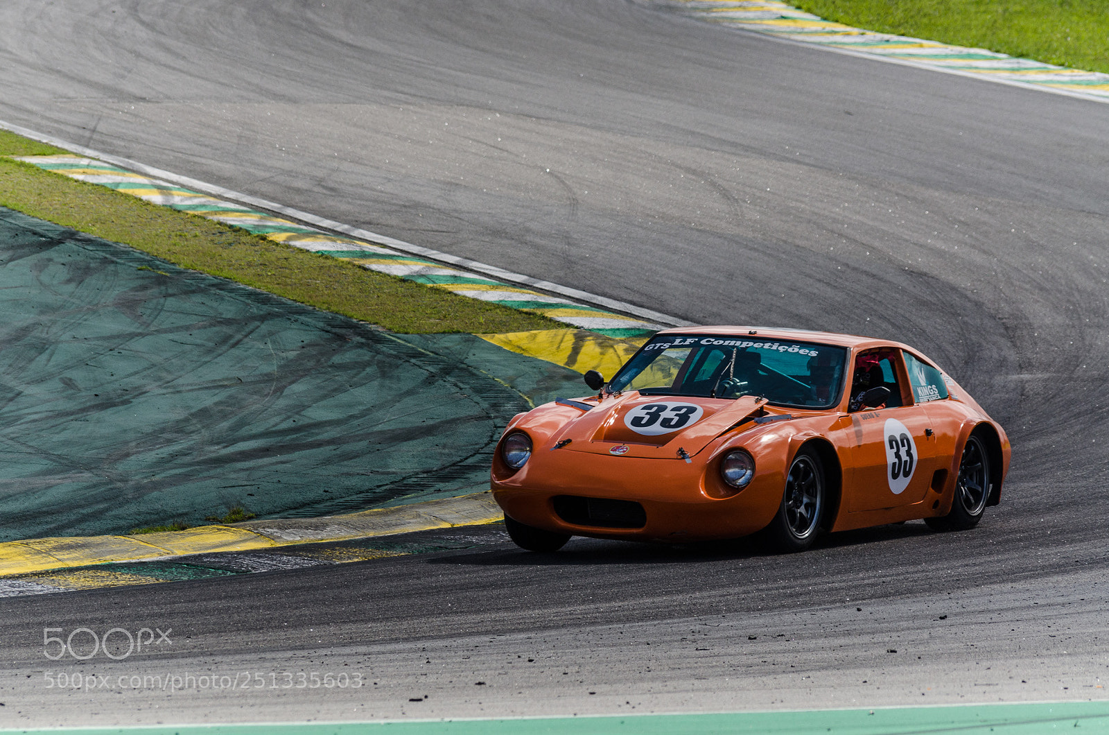 Nikon D5100 sample photo. Racecar puma photography