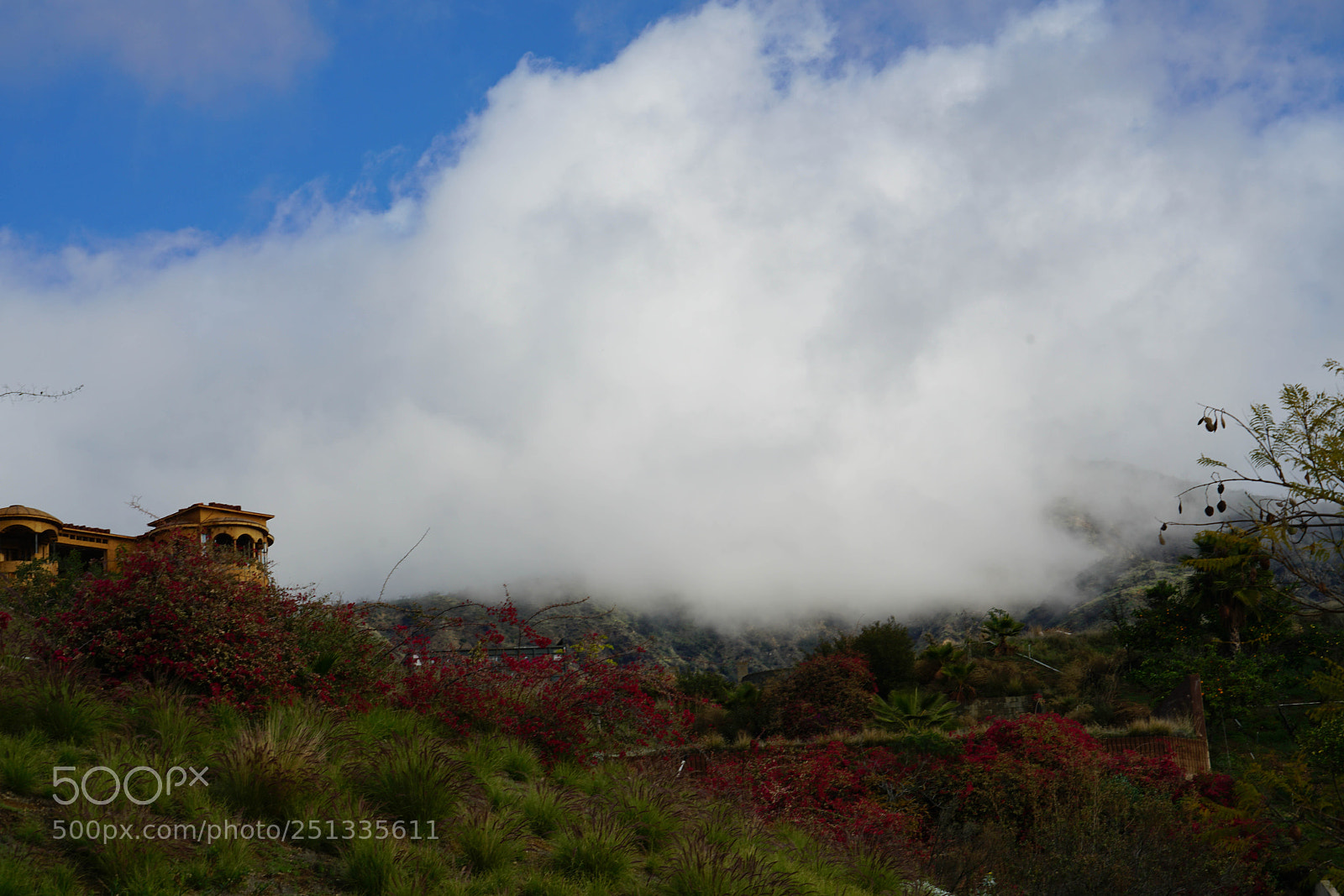 Sony a7R II sample photo. Duarte photography