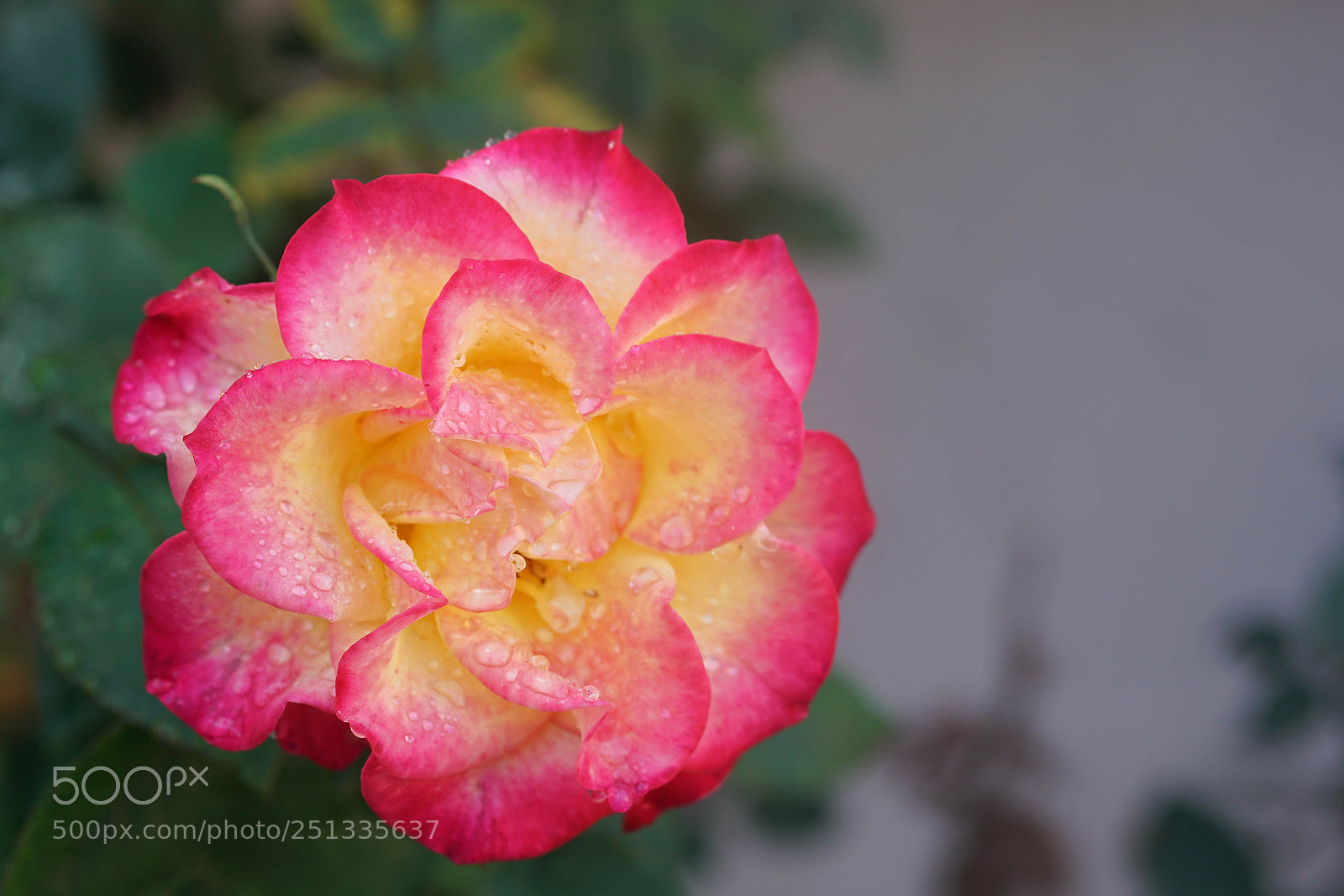 Sony a7R II sample photo. Duarte photography