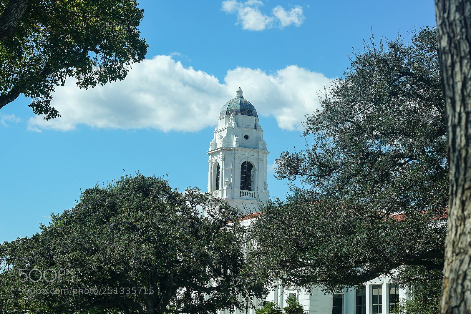 Sony a7R II sample photo. Duarte photography