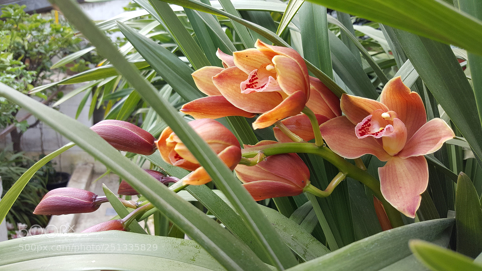 Samsung GALAXY S6 edge sample photo. Untitled photography