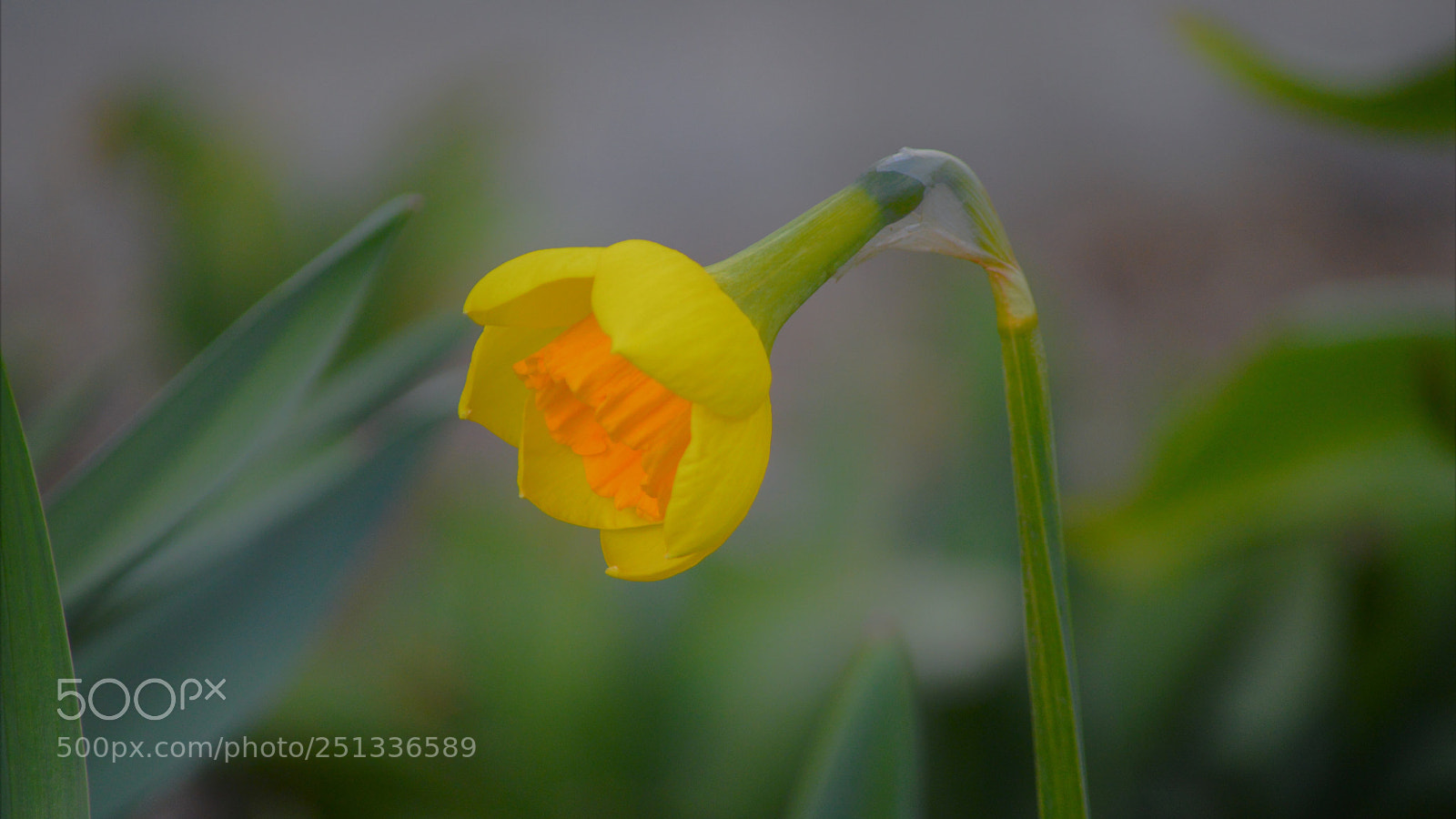 Nikon D3200 sample photo. Untitled photography