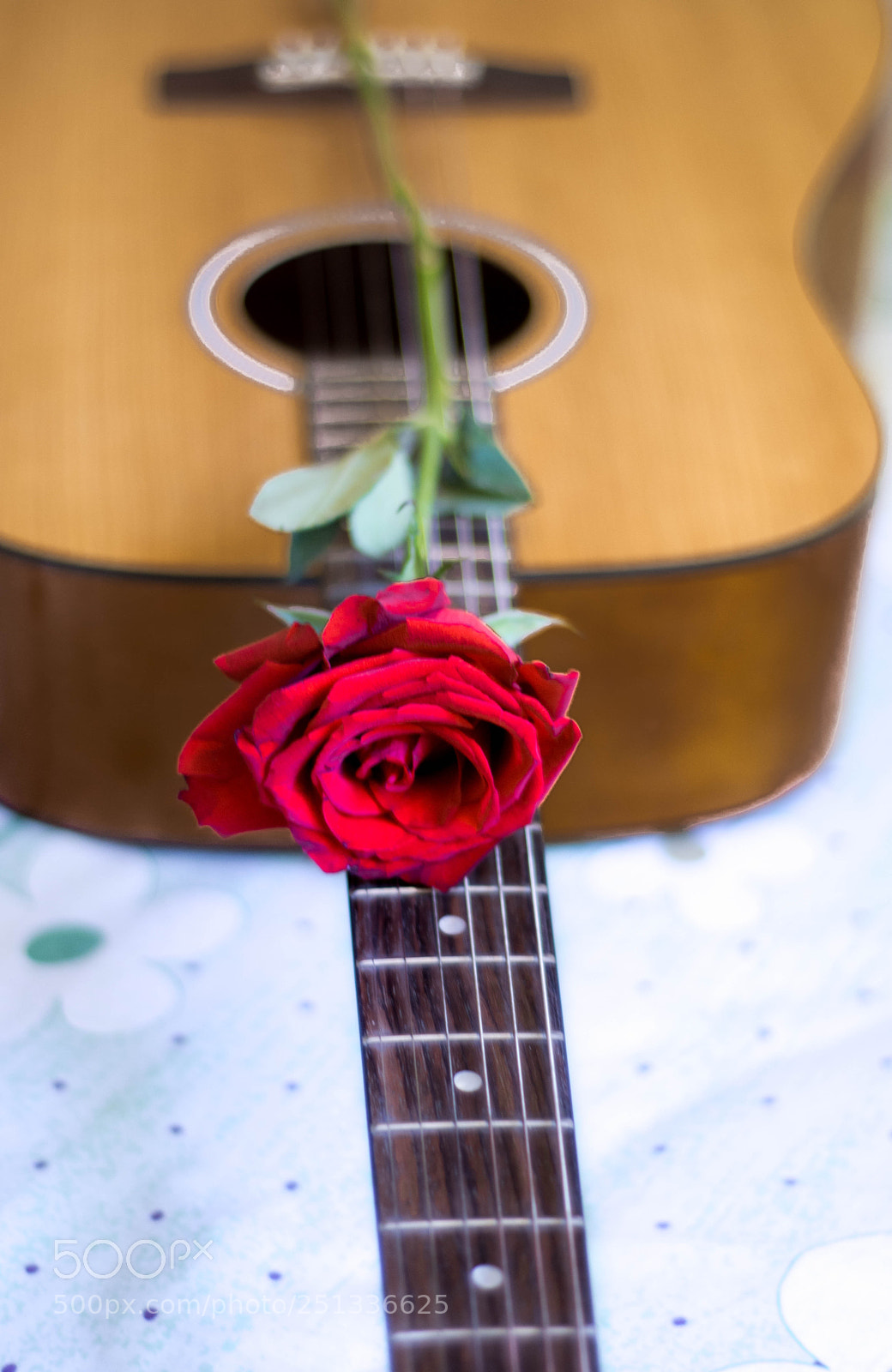 Nikon D7200 sample photo. Guitar love photography