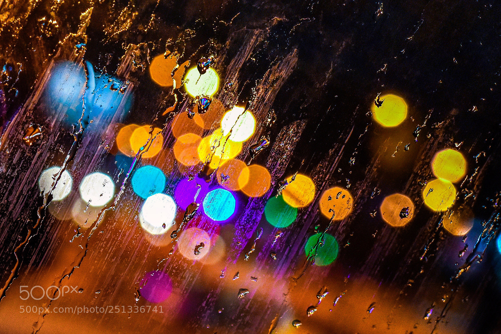 Nikon D810 sample photo. Untitled photography