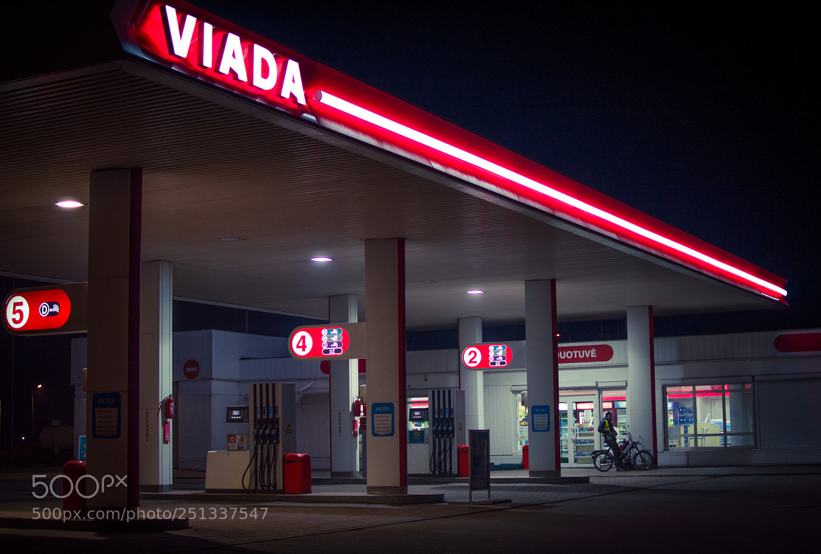 Nikon D3200 sample photo. Nocturnal customer photography