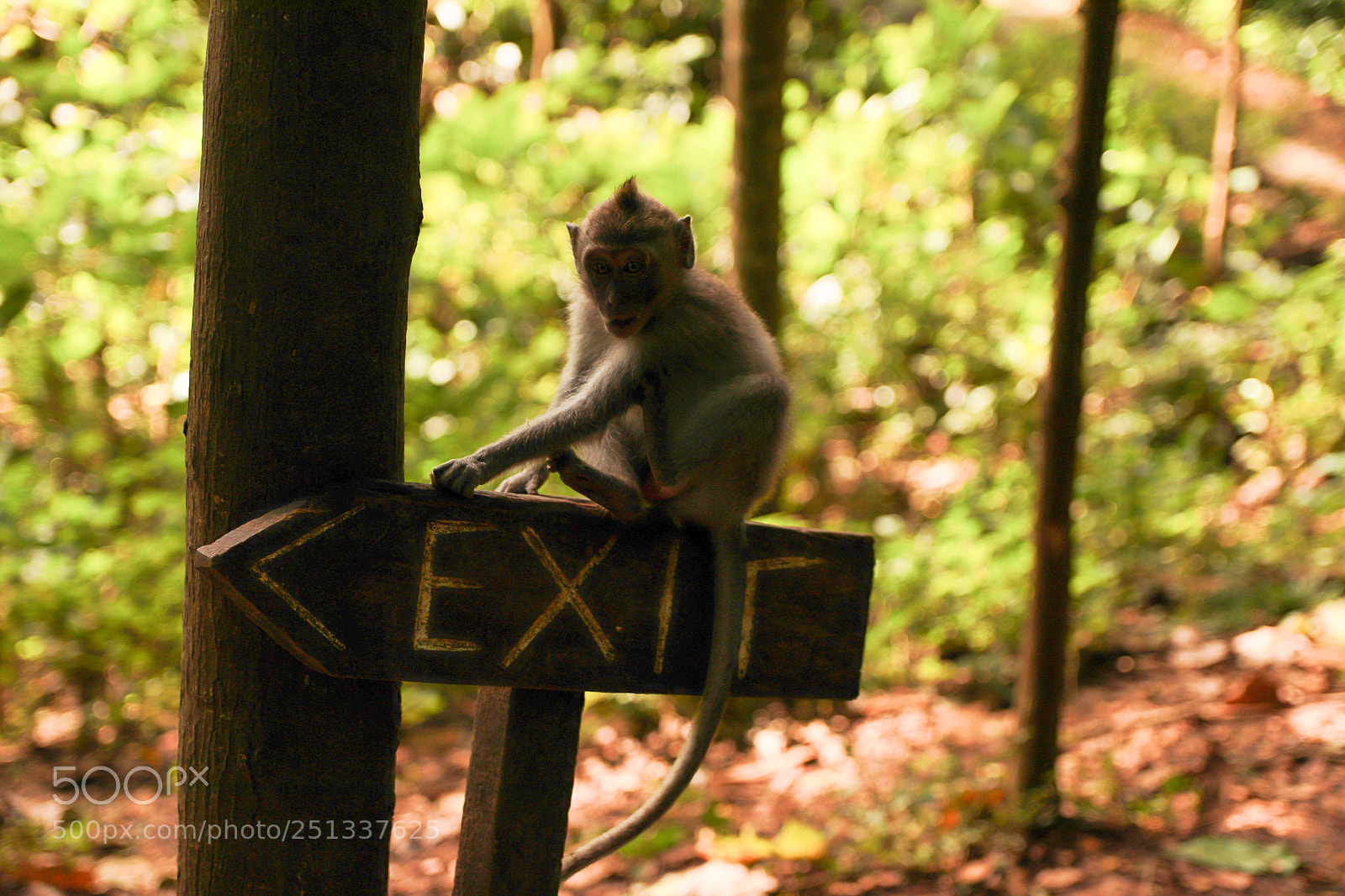 Canon EOS 77D (EOS 9000D / EOS 770D) sample photo. Untitled photography