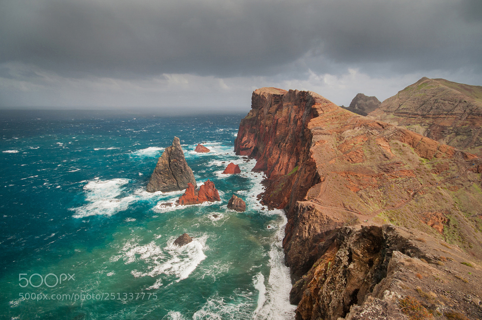 Nikon D700 sample photo. Madeira photography
