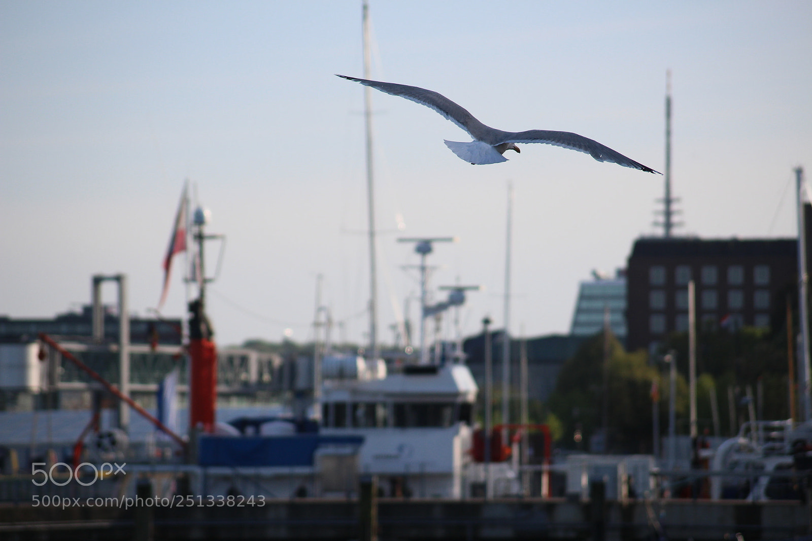 Canon EOS 100D (EOS Rebel SL1 / EOS Kiss X7) sample photo. A flight above the photography