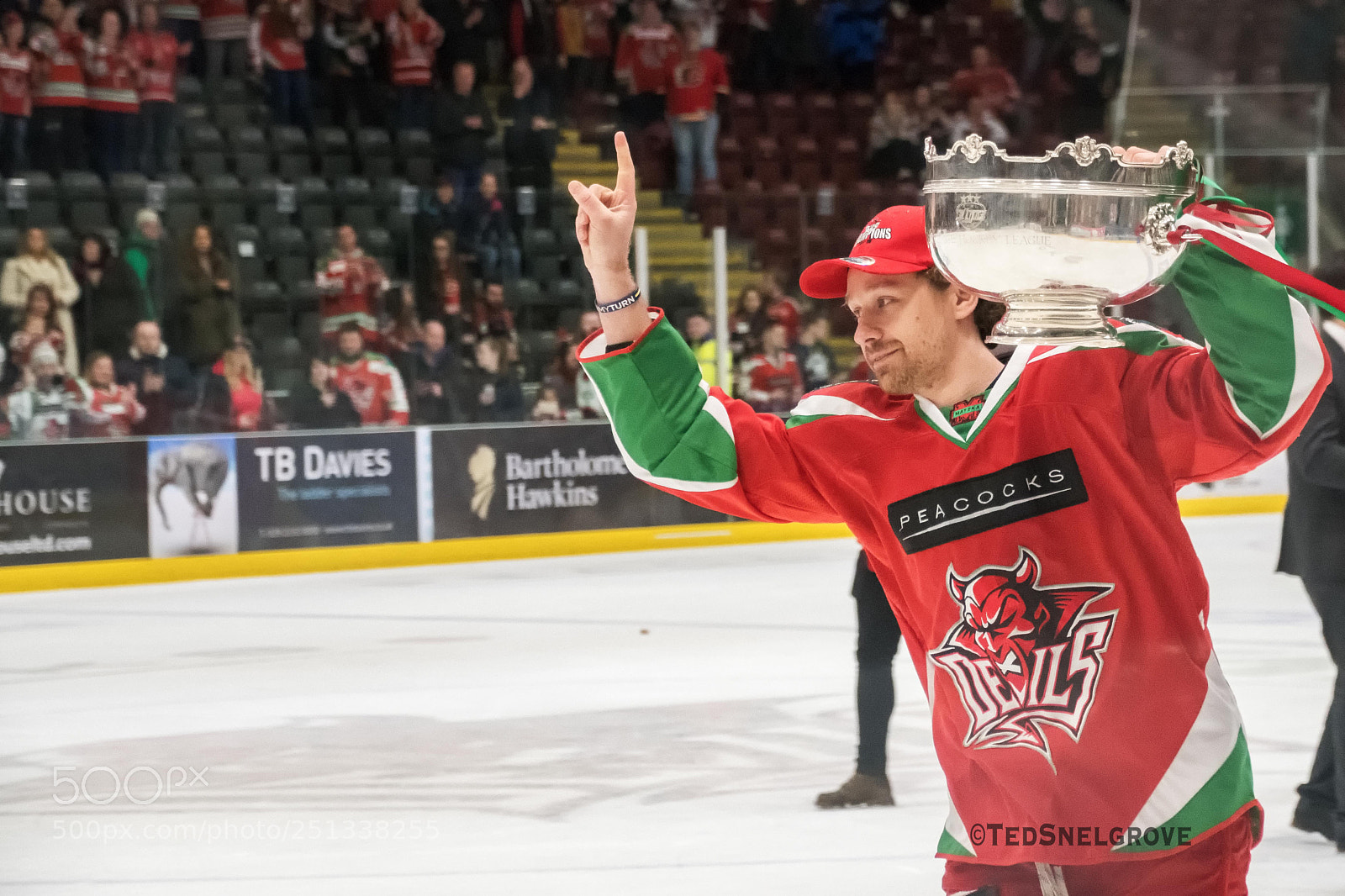 Nikon D500 sample photo. Piggott. cardiff devils. elite photography