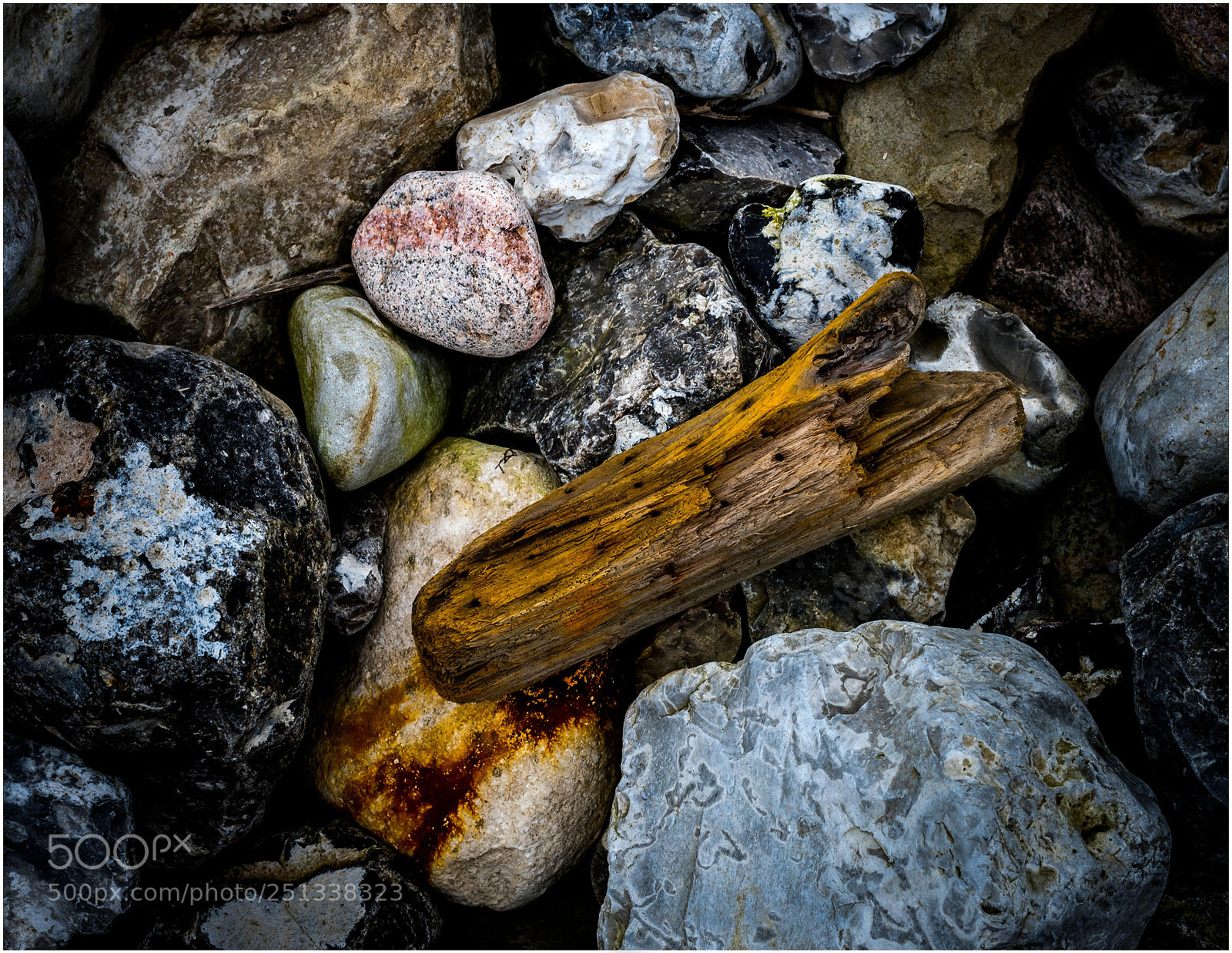 Nikon D500 sample photo. X photography