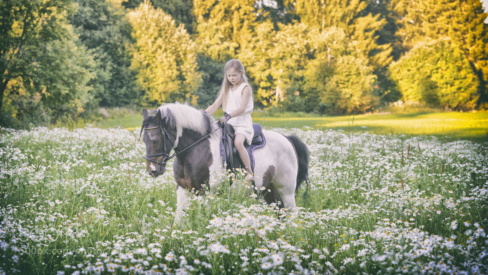 Nikon D610 sample photo. Barefootriding photography