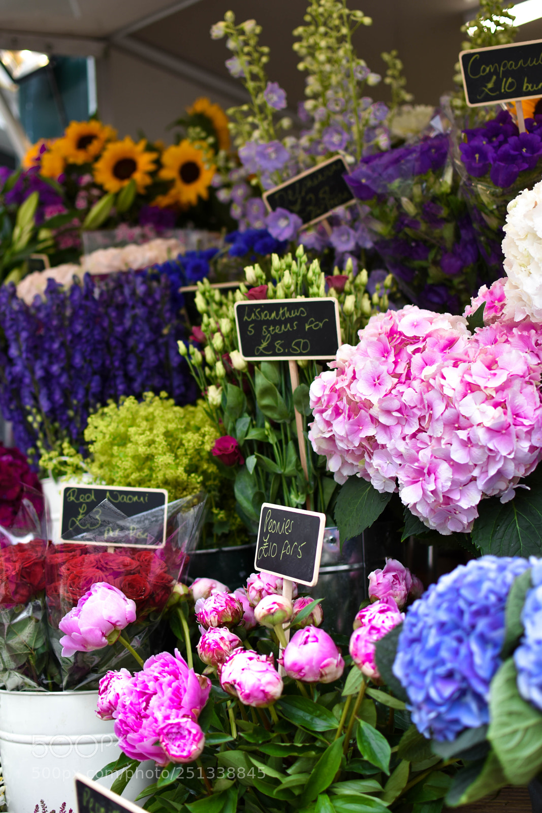 Nikon D5500 sample photo. Dsc photography