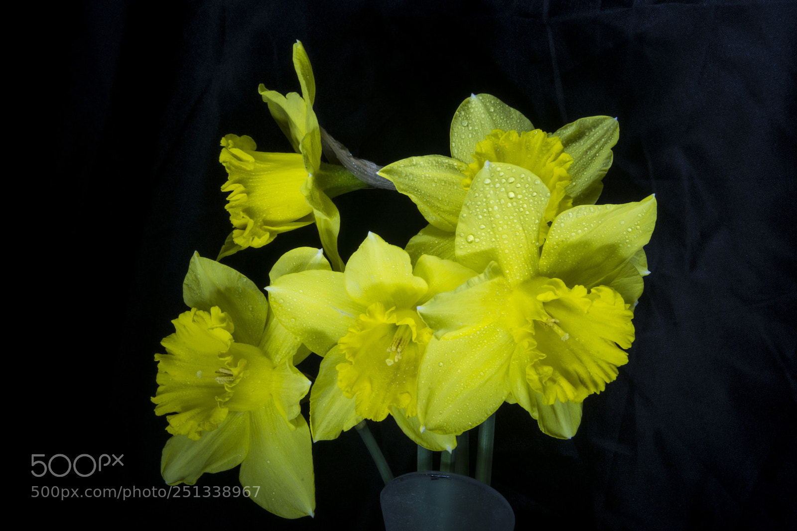 Nikon D7200 sample photo. Light painting photography