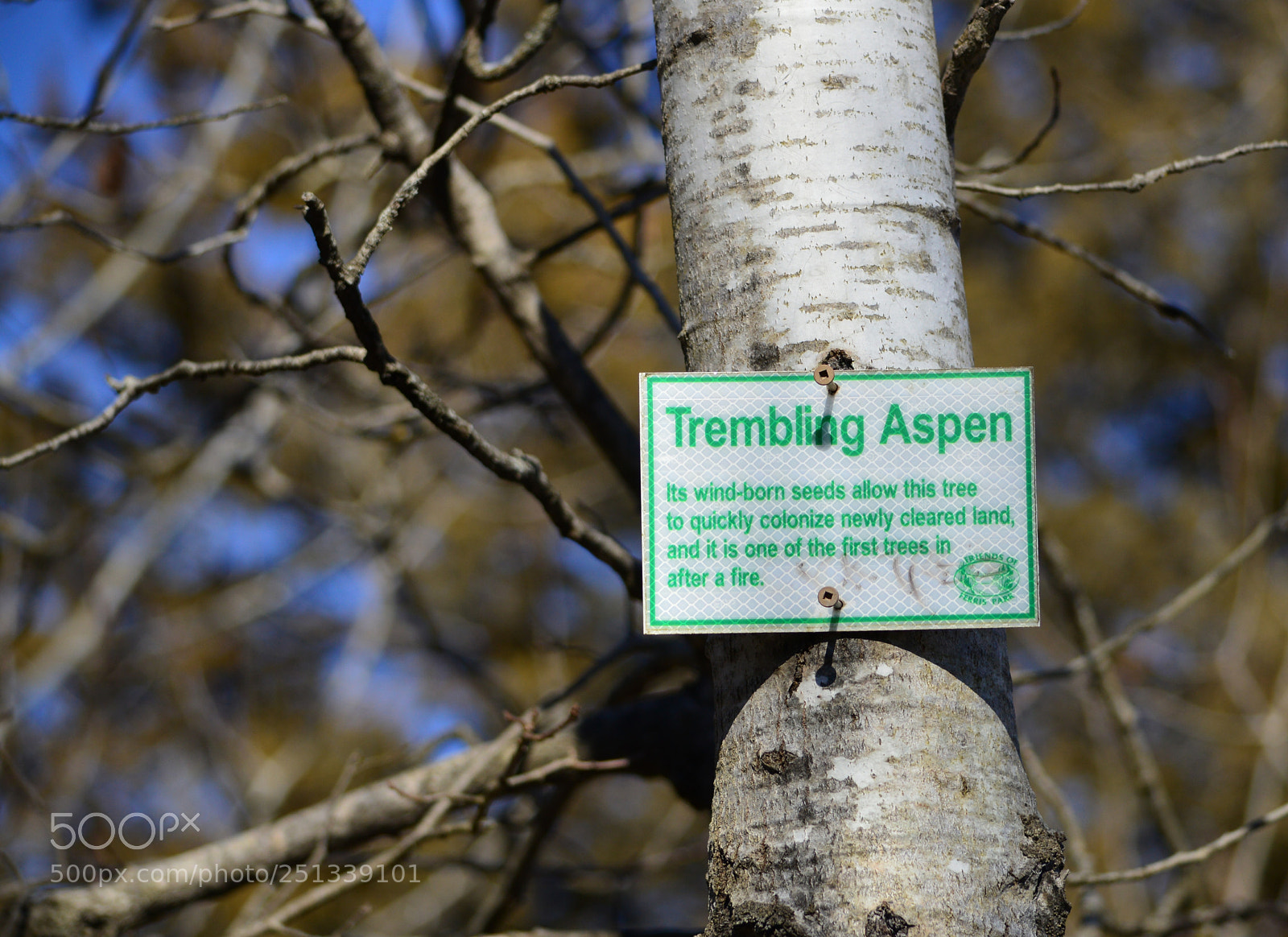 Nikon D3200 sample photo. Interesting bit photography