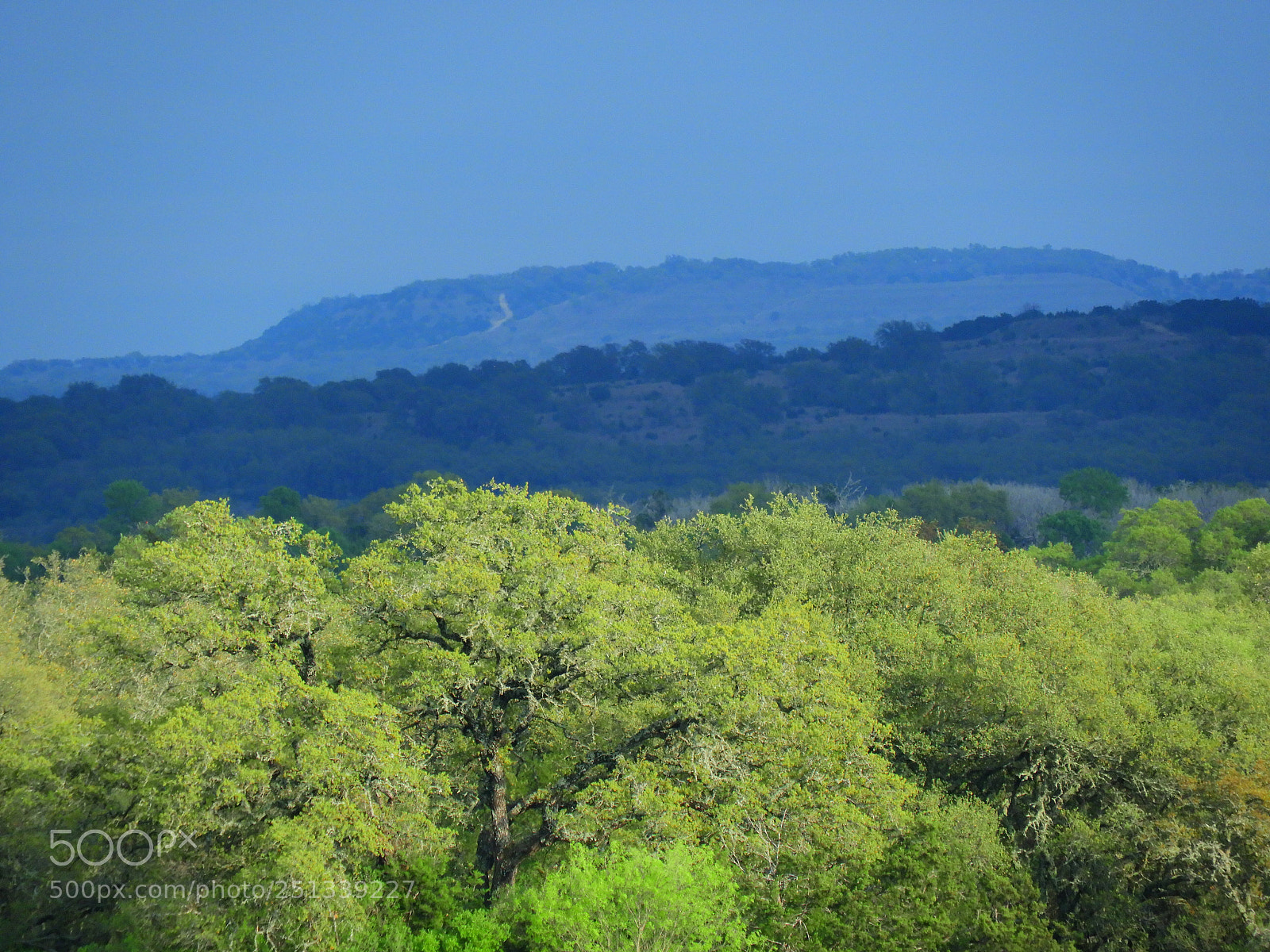 Nikon Coolpix B700 sample photo. The hills are alive photography