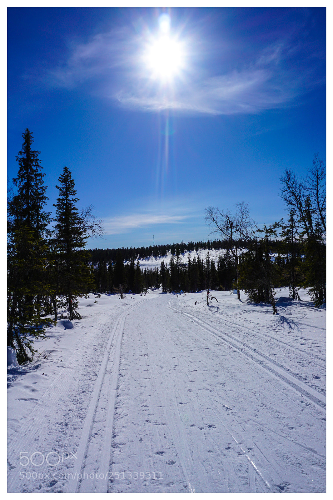 Sony a6000 sample photo. Flishøgda photography