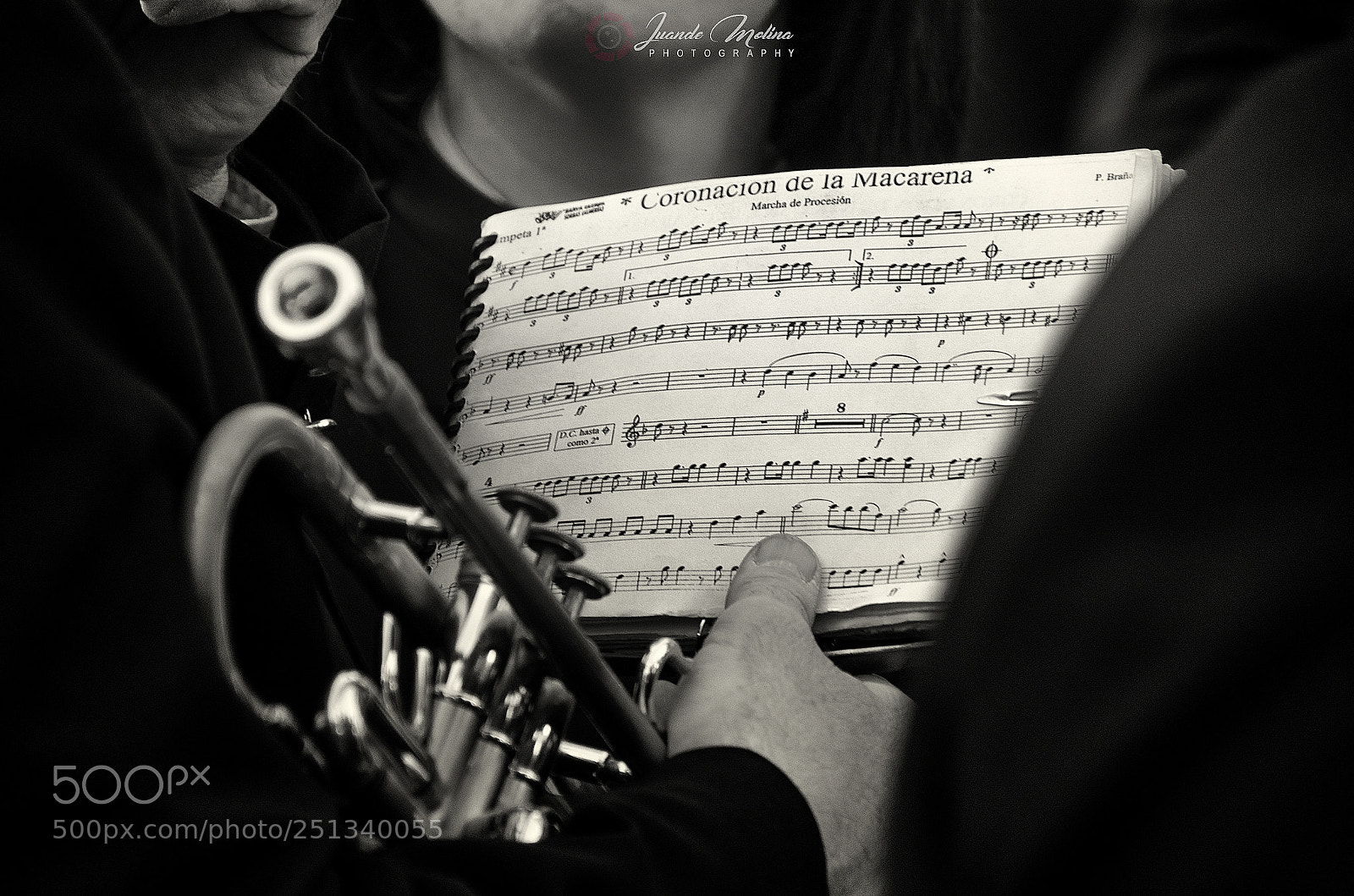 Nikon D7000 sample photo. Música maestro. photography