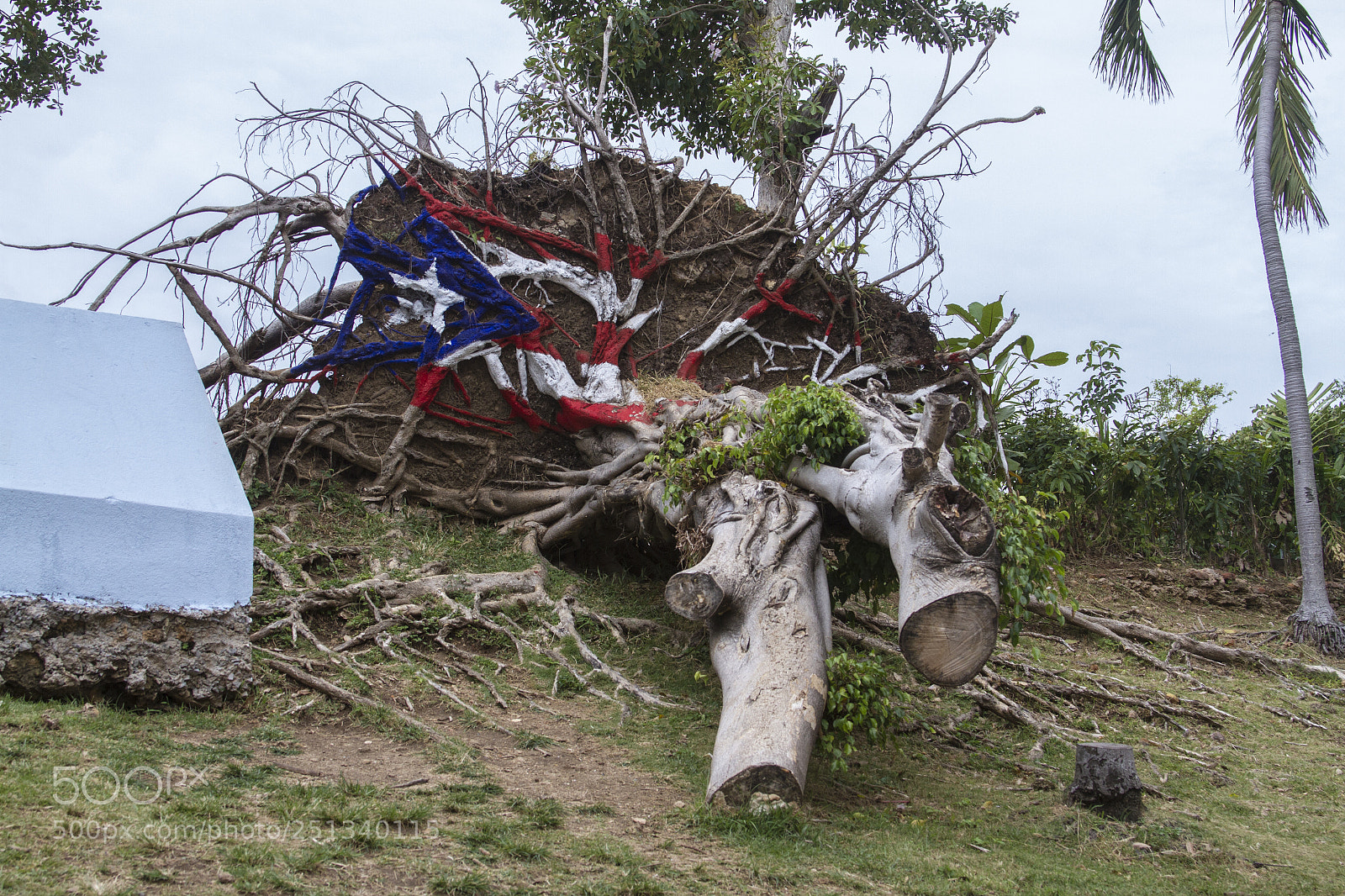 Canon EOS 7D sample photo. Bandera de puerto rico photography