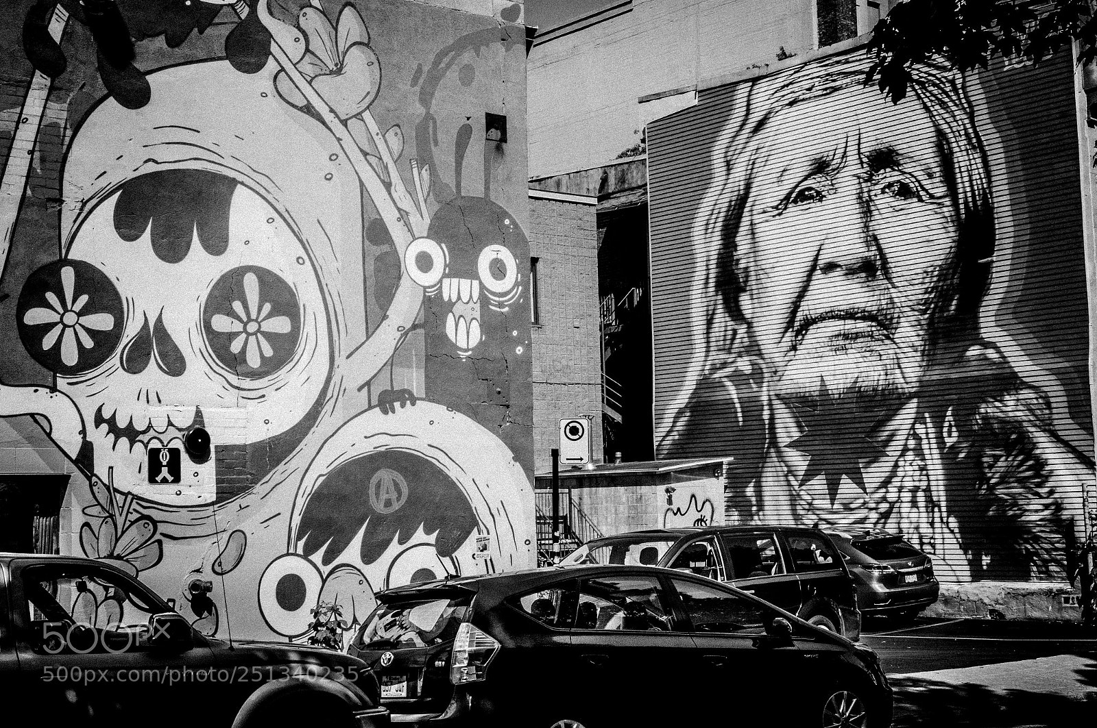 Sony Alpha NEX-6 sample photo. Montreal street art photography