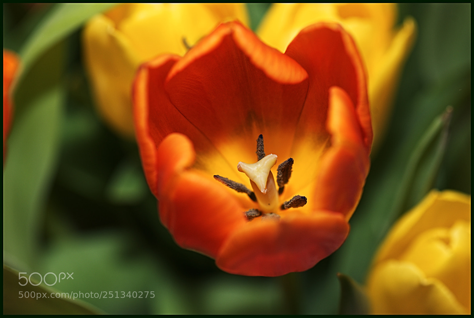 Nikon D610 sample photo. Untitled photography