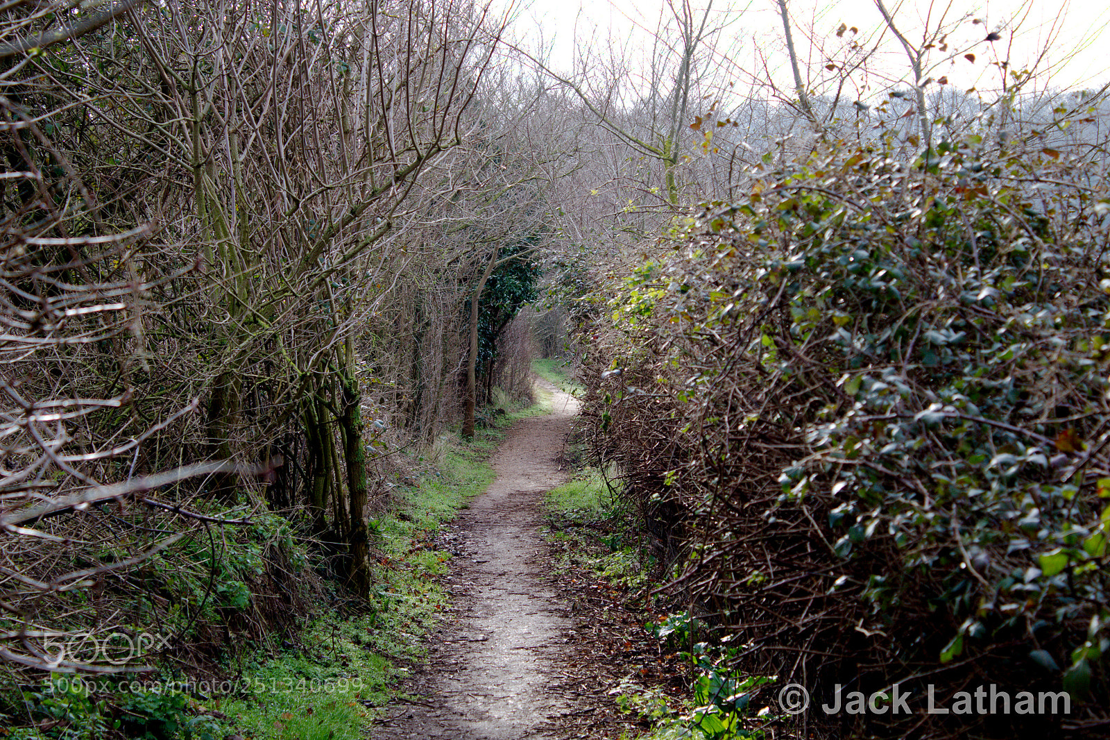 Canon EOS 1300D (EOS Rebel T6 / EOS Kiss X80) sample photo. Path to mystery photography